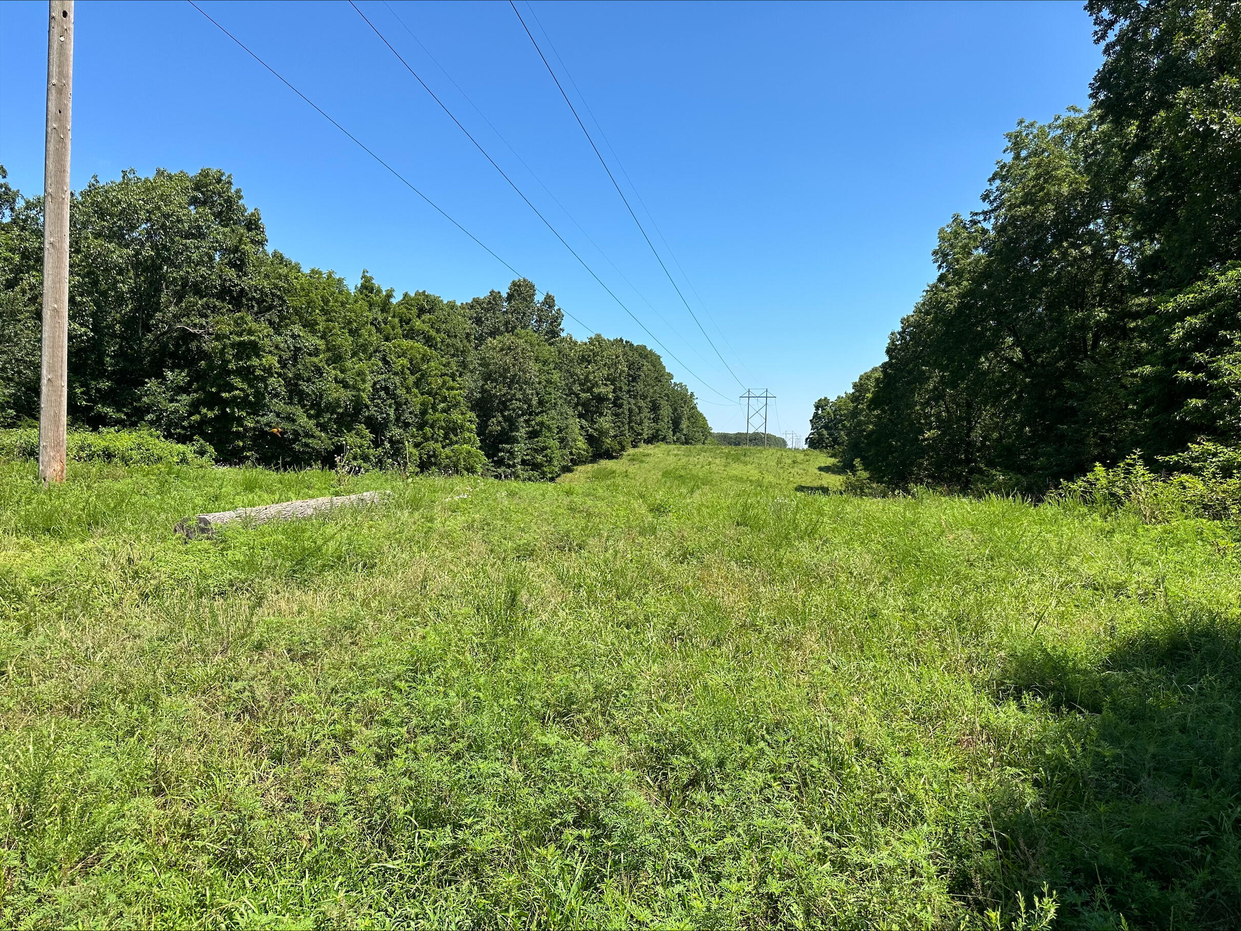 Photo 9 - Land for sale – Tbd - A  State Highway 174   Mt Vernon, MO