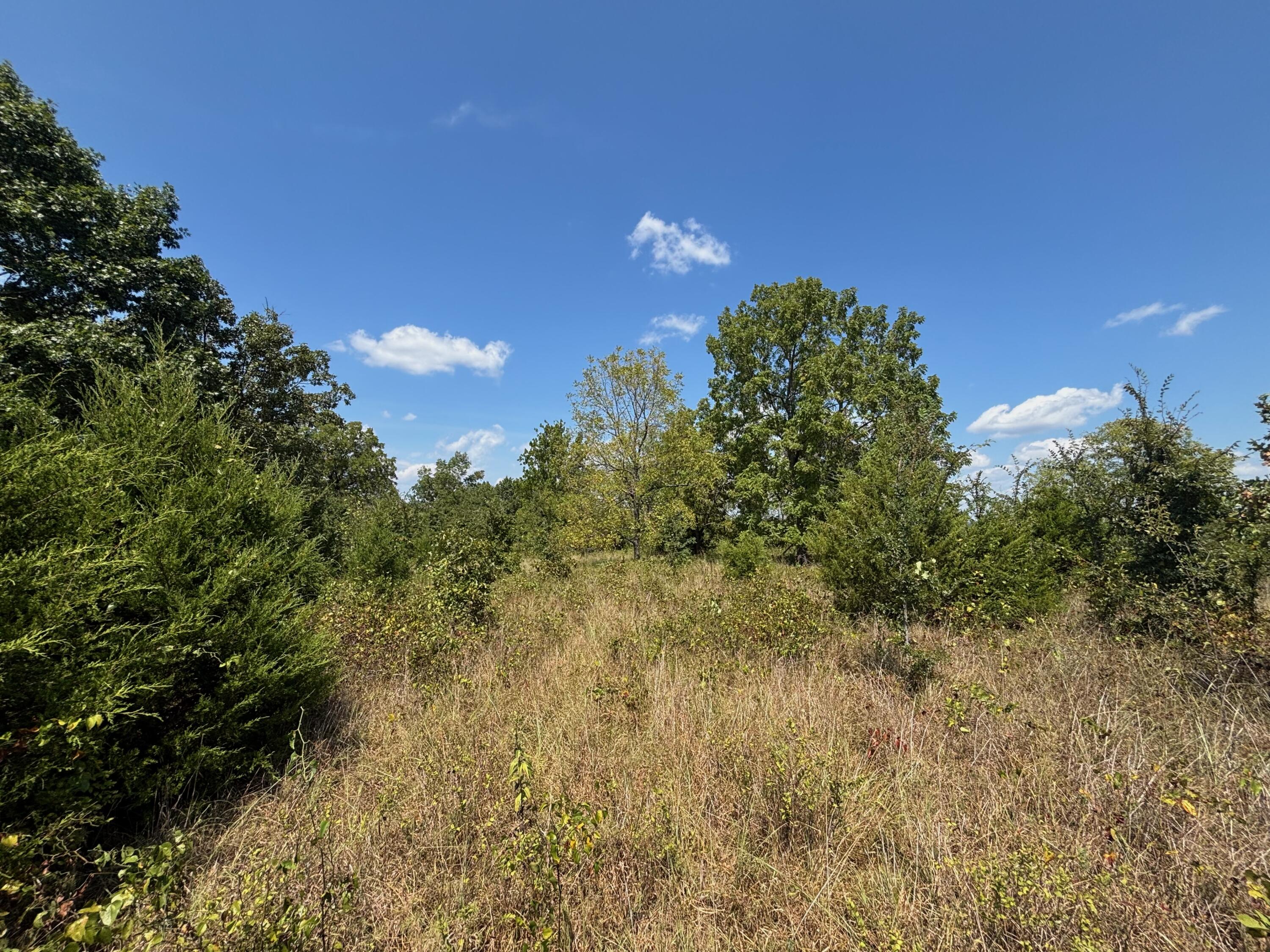 Photo 19 - Land for sale – Tract 5  Little Woods Road  Elizabeth, AR