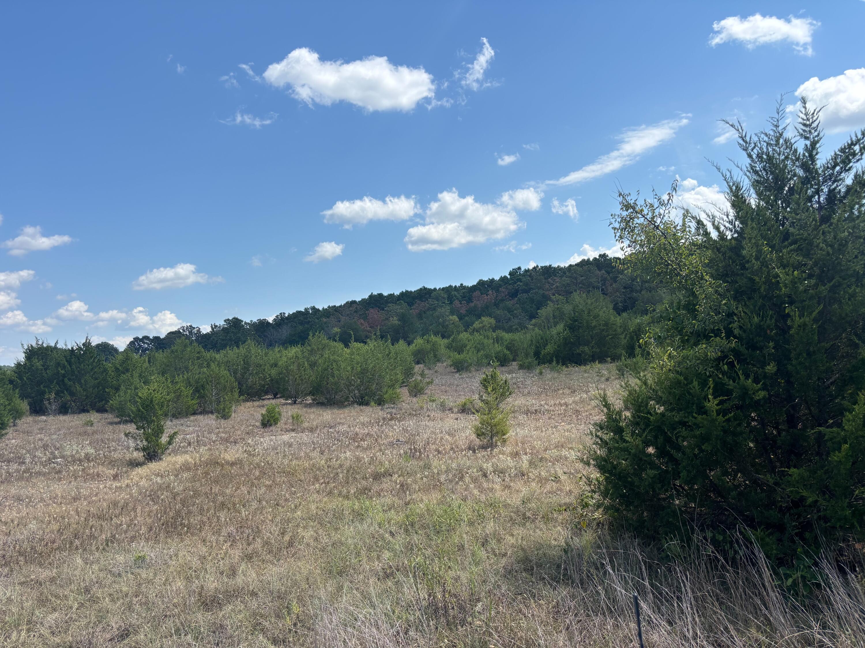 Photo 18 - Land for sale – Tract 5  Little Woods Road  Elizabeth, AR