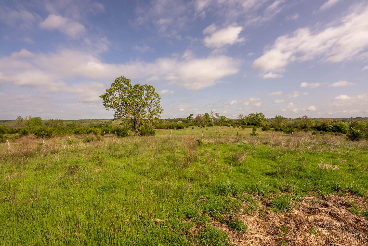 Photo 14 - Land for sale – Tract 5  Little Woods Road  Elizabeth, AR