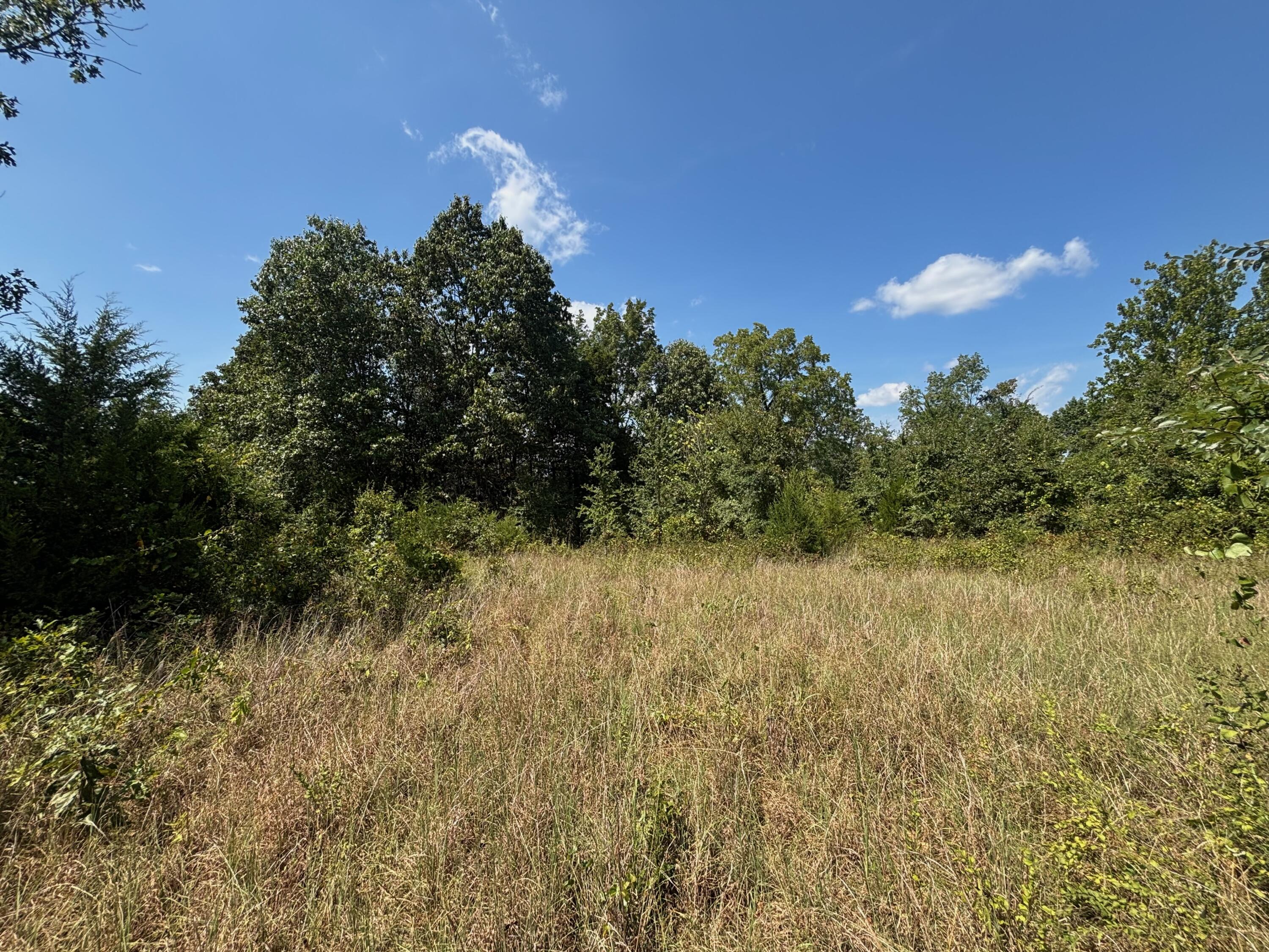 Photo 21 - Land for sale – Tract 5  Little Woods Road  Elizabeth, AR