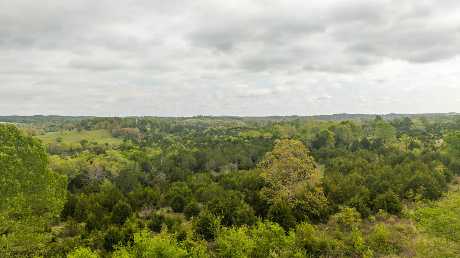 Photo 7 - Land for sale – Tract 5  Little Woods Road  Elizabeth, AR