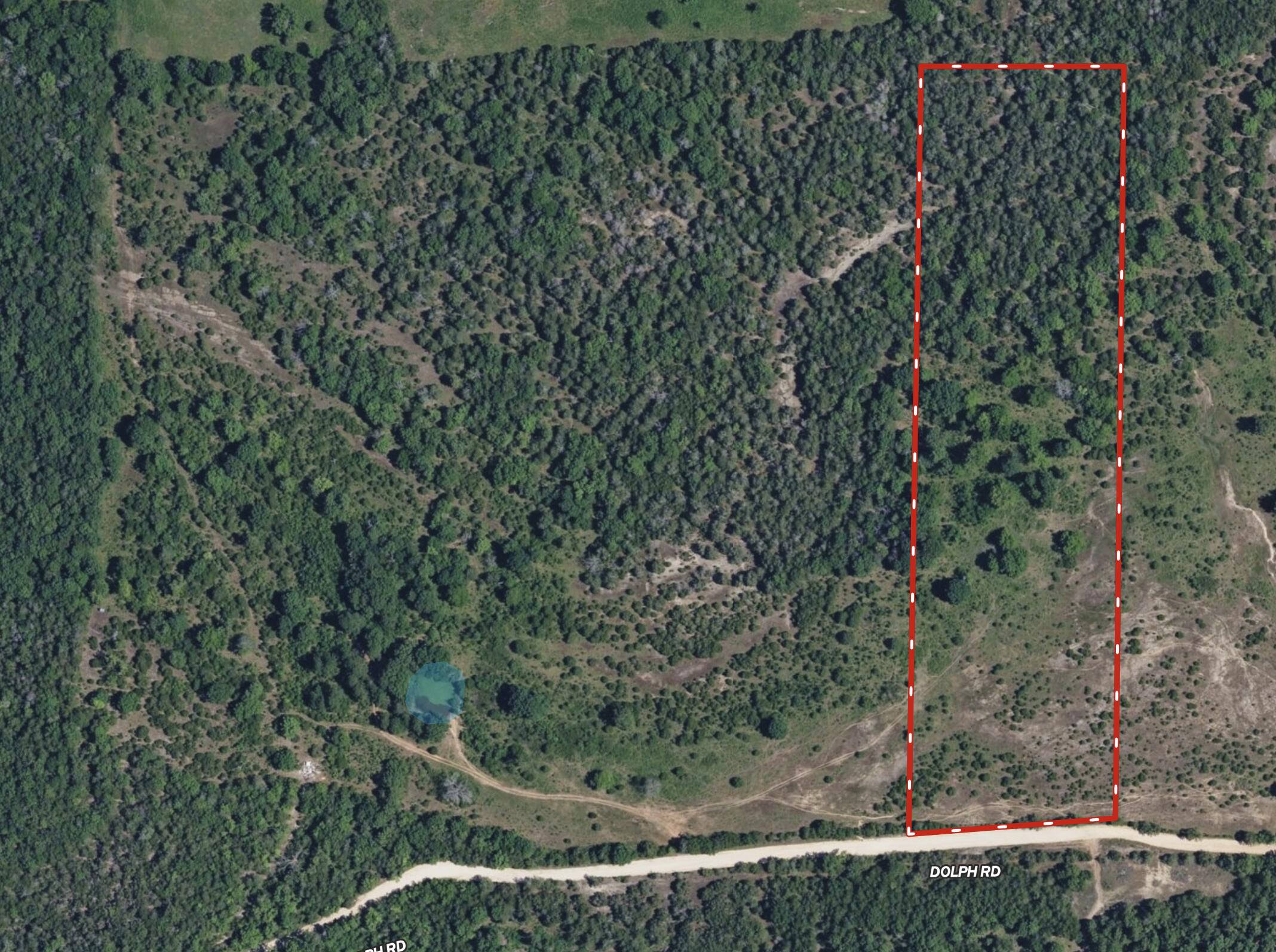 Photo 2 - Land for sale – Tract 5  Little Woods Road  Elizabeth, AR