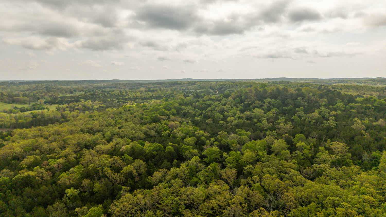 Photo 4 - Land for sale – Tract 5  Little Woods Road  Elizabeth, AR