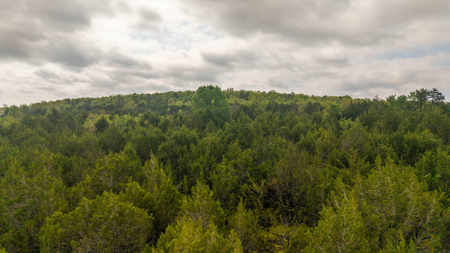 Photo 12 - Land for sale – Tract 5  Little Woods Road  Elizabeth, AR