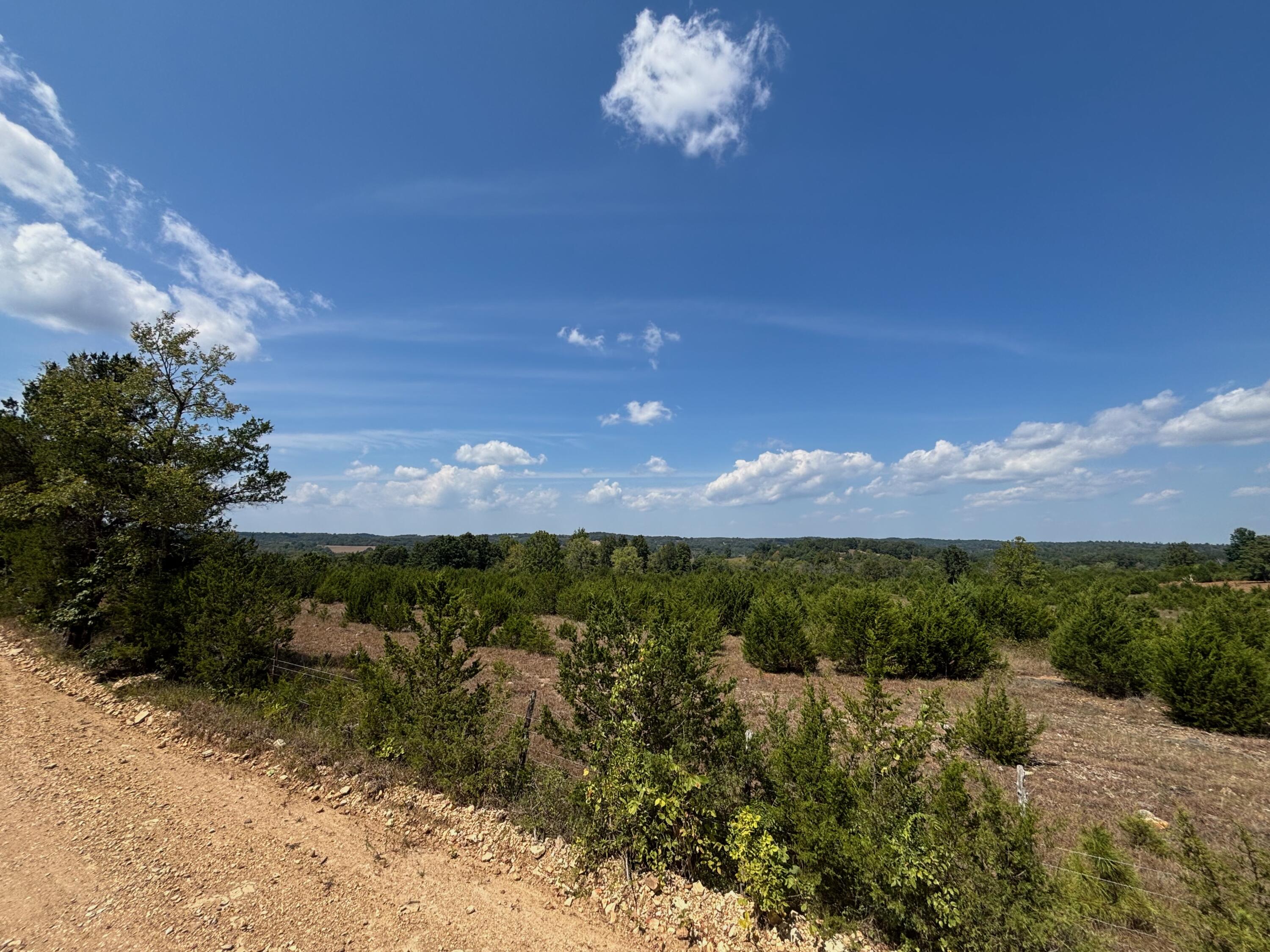 Photo 29 - Land for sale – Tract 5  Little Woods Road  Elizabeth, AR