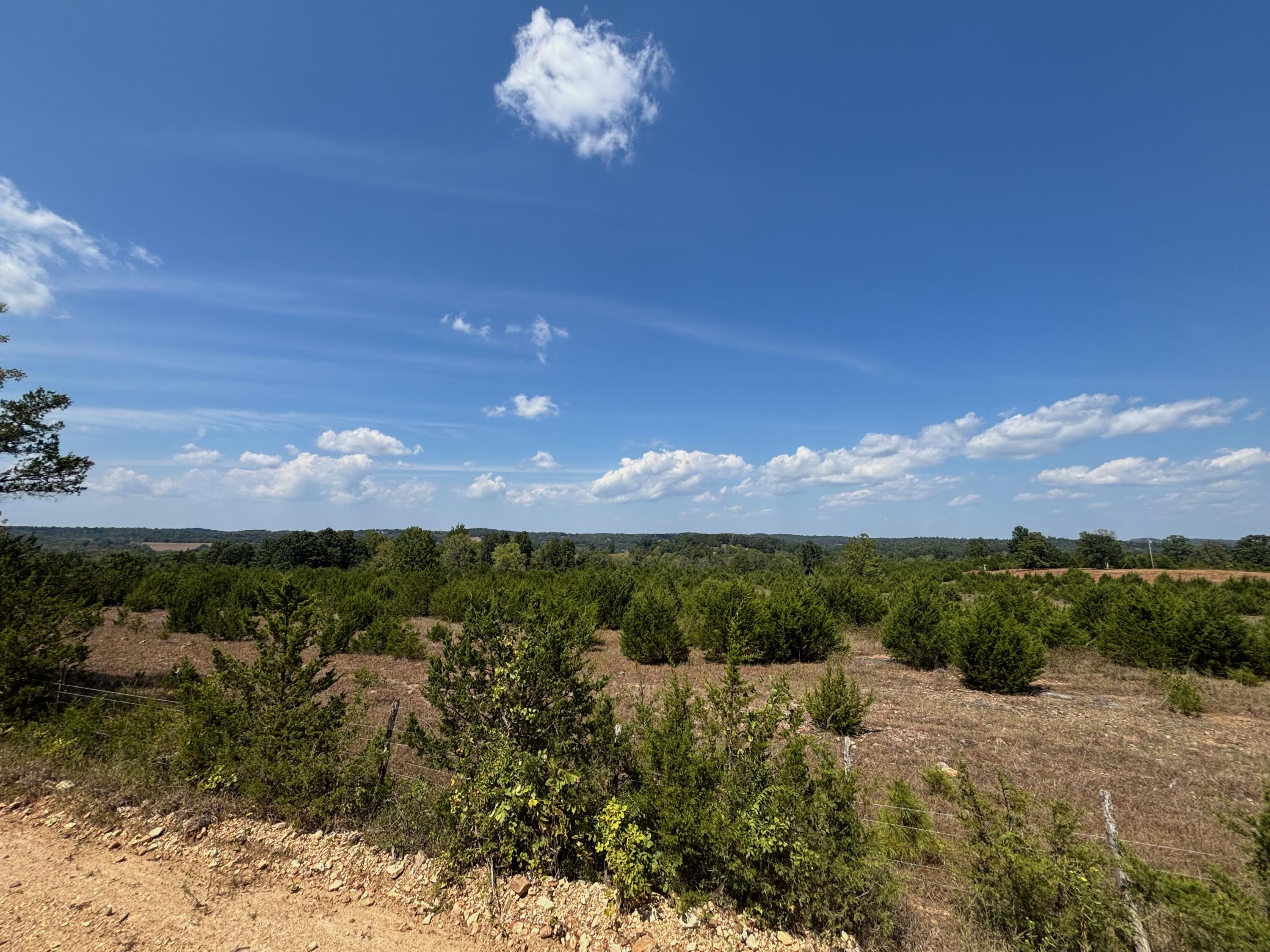 Photo 27 - Land for sale – Tract 5  Little Woods Road  Elizabeth, AR
