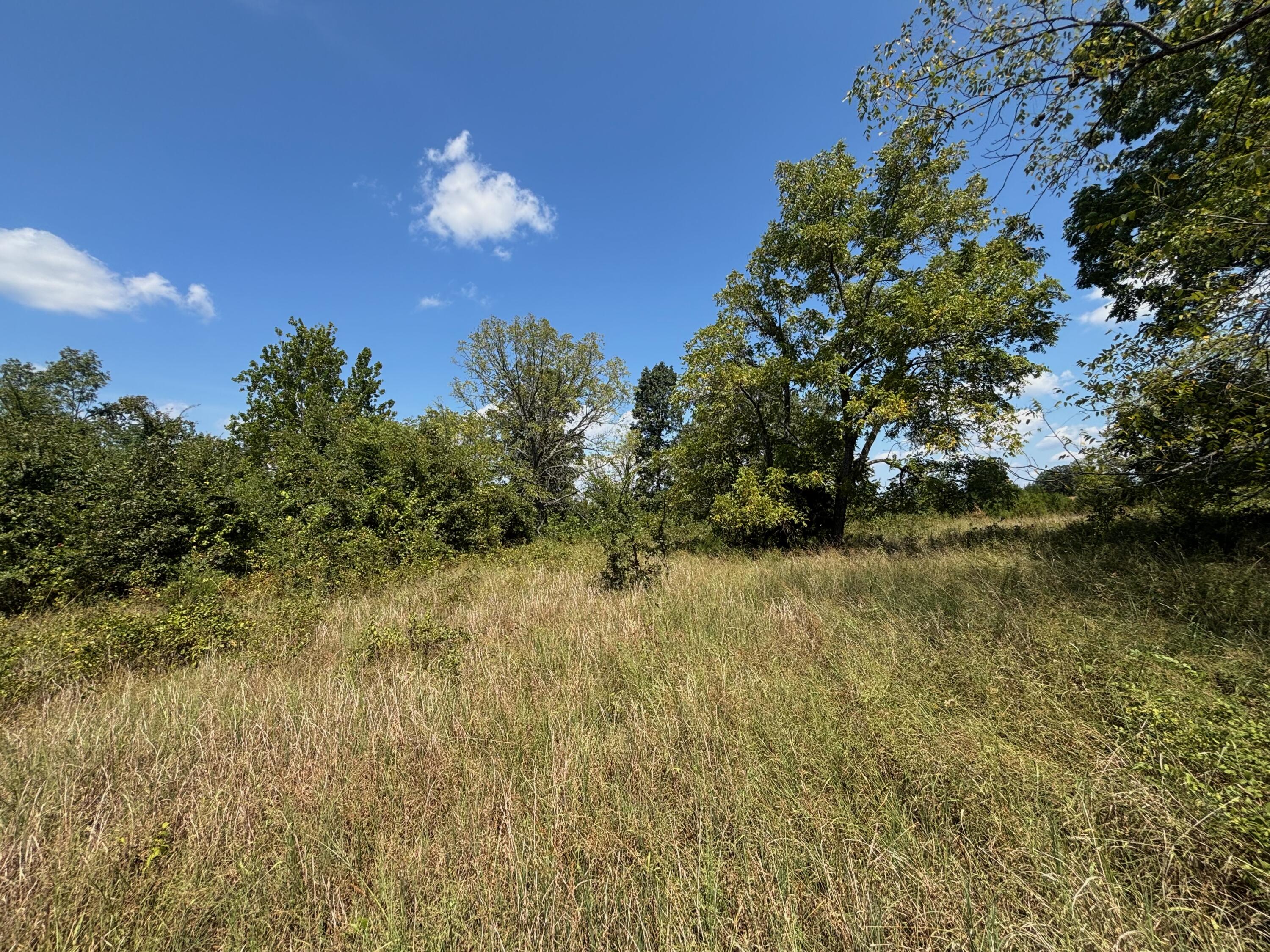Photo 22 - Land for sale – Tract 5  Little Woods Road  Elizabeth, AR