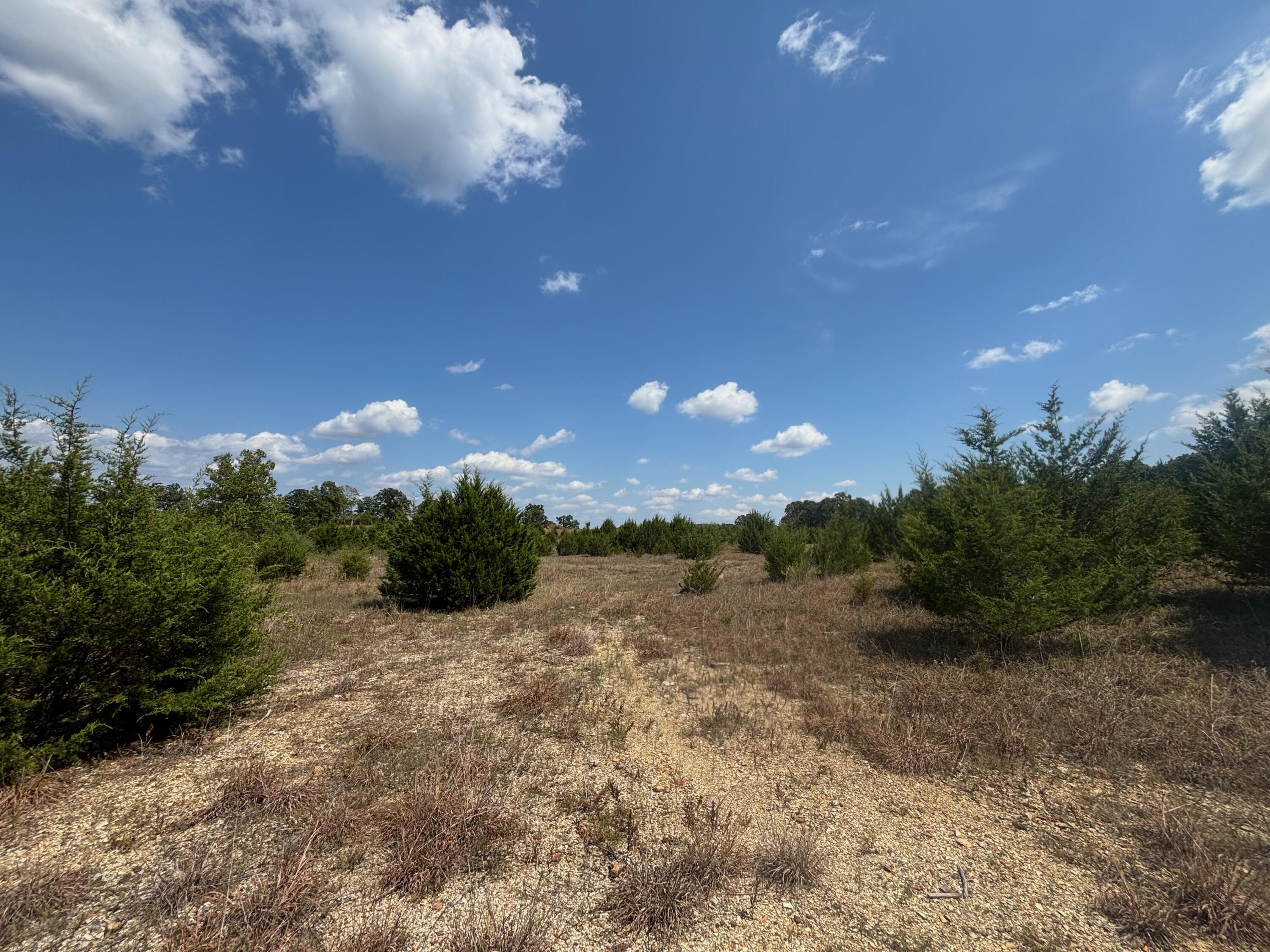 Photo 23 - Land for sale – Tract 5  Little Woods Road  Elizabeth, AR