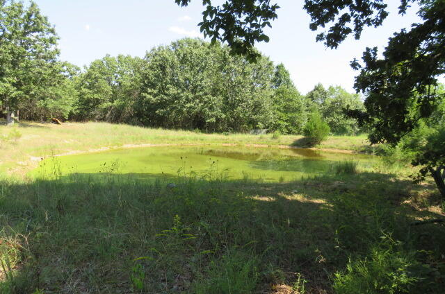 Photo 41 - Residential for sale – 2005  Highway F   Mansfield, MO