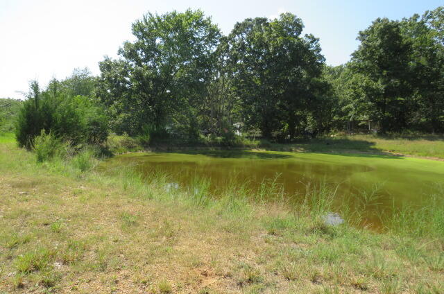 Photo 40 - Residential for sale – 2005  Highway F   Mansfield, MO