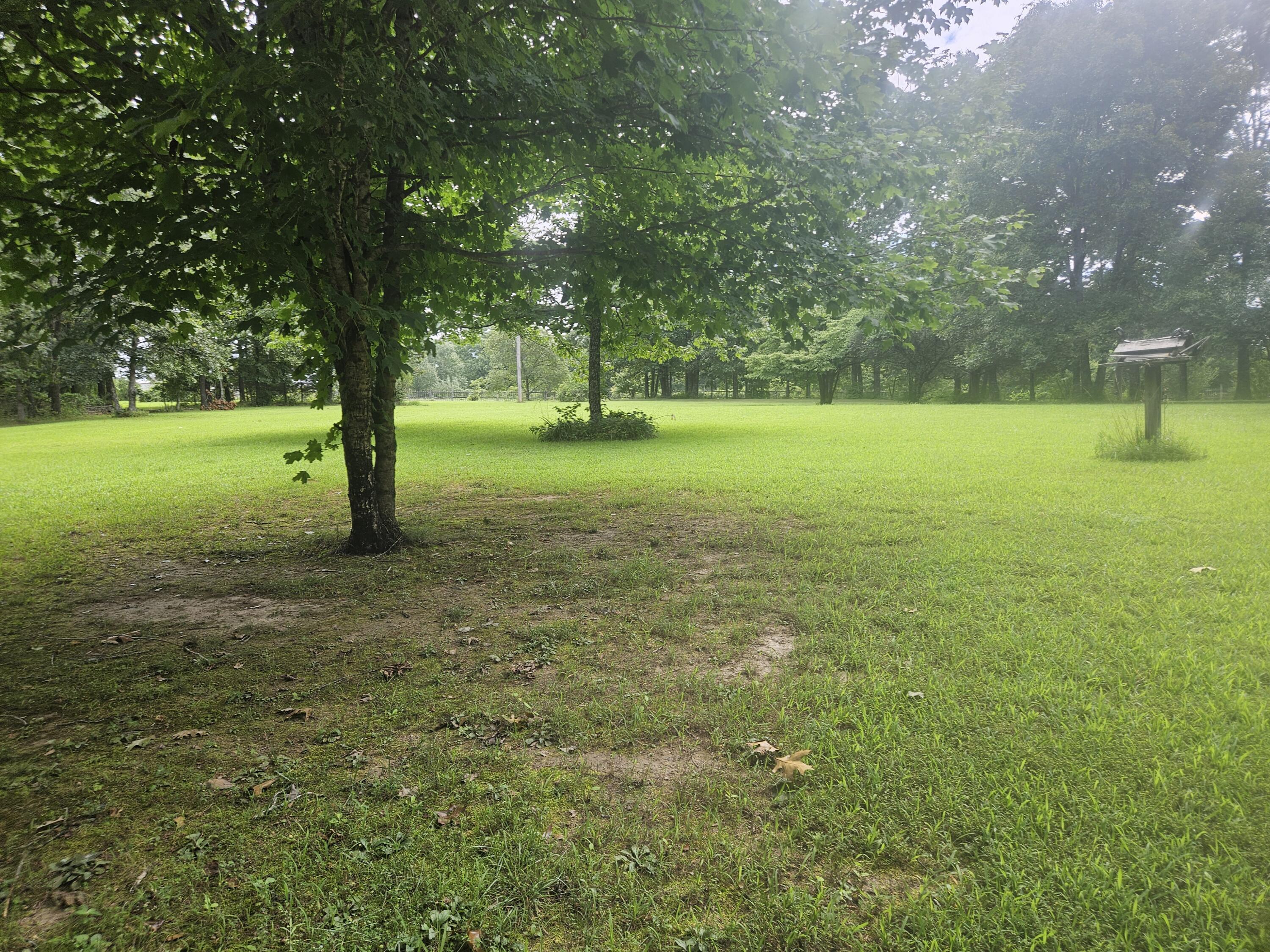 Photo 7 - Residential for sale – 3405  State Route 17   Mountain View, MO