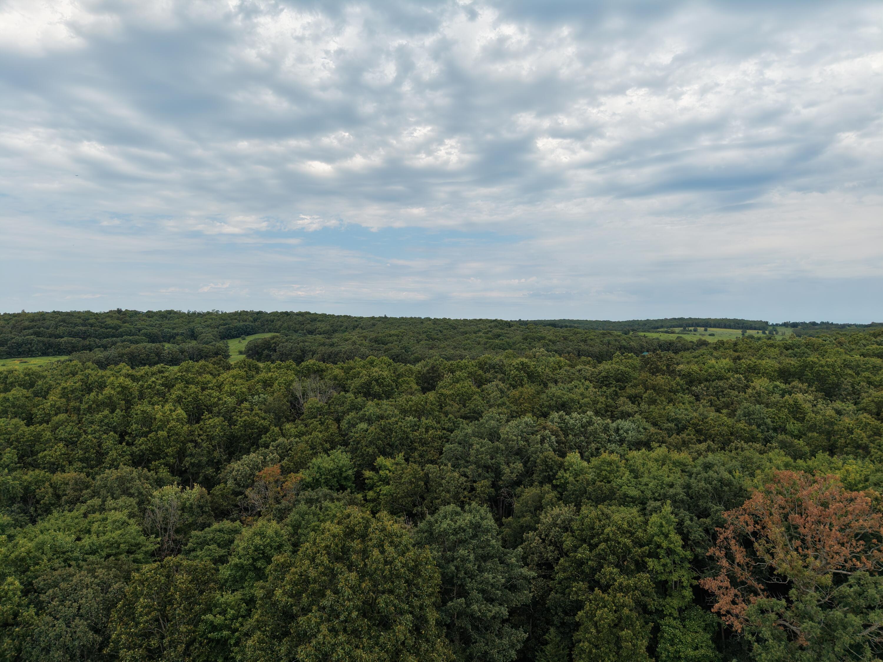 Photo 62 - Farm for sale – 6793  County Road 3400   Mountain View, MO
