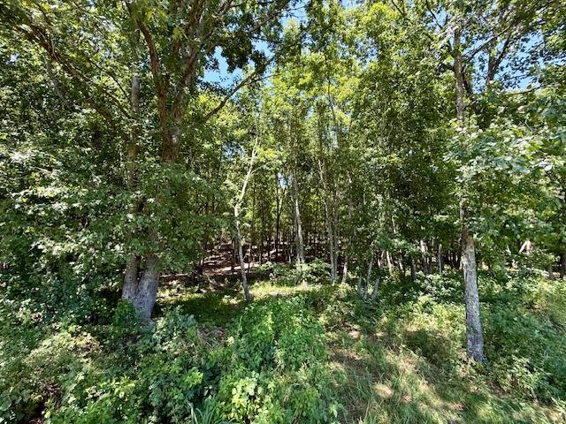 Photo 72 - Farm for sale – 6793  County Road 3400   Mountain View, MO