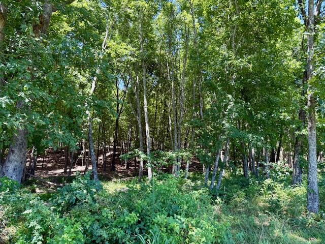 Photo 71 - Farm for sale – 6793  County Road 3400   Mountain View, MO