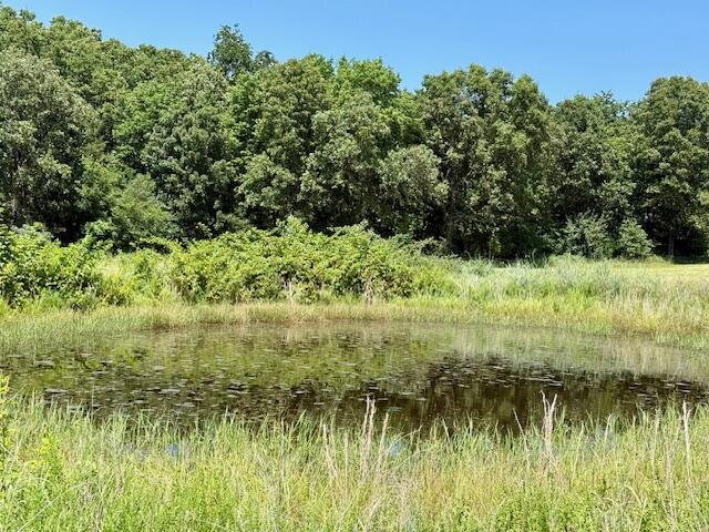 Photo 68 - Farm for sale – 6793  County Road 3400   Mountain View, MO