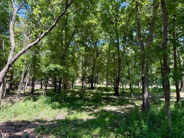 Photo 73 - Farm for sale – 6793  County Road 3400   Mountain View, MO