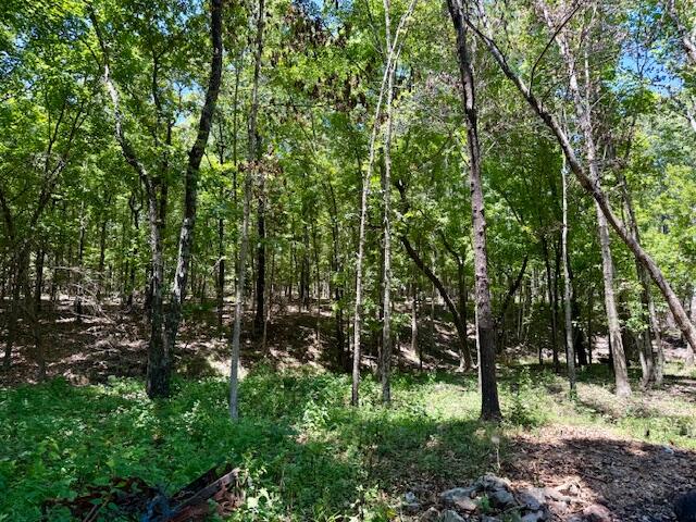 Photo 74 - Farm for sale – 6793  County Road 3400   Mountain View, MO