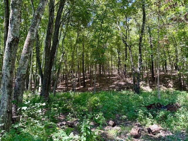 Photo 76 - Farm for sale – 6793  County Road 3400   Mountain View, MO