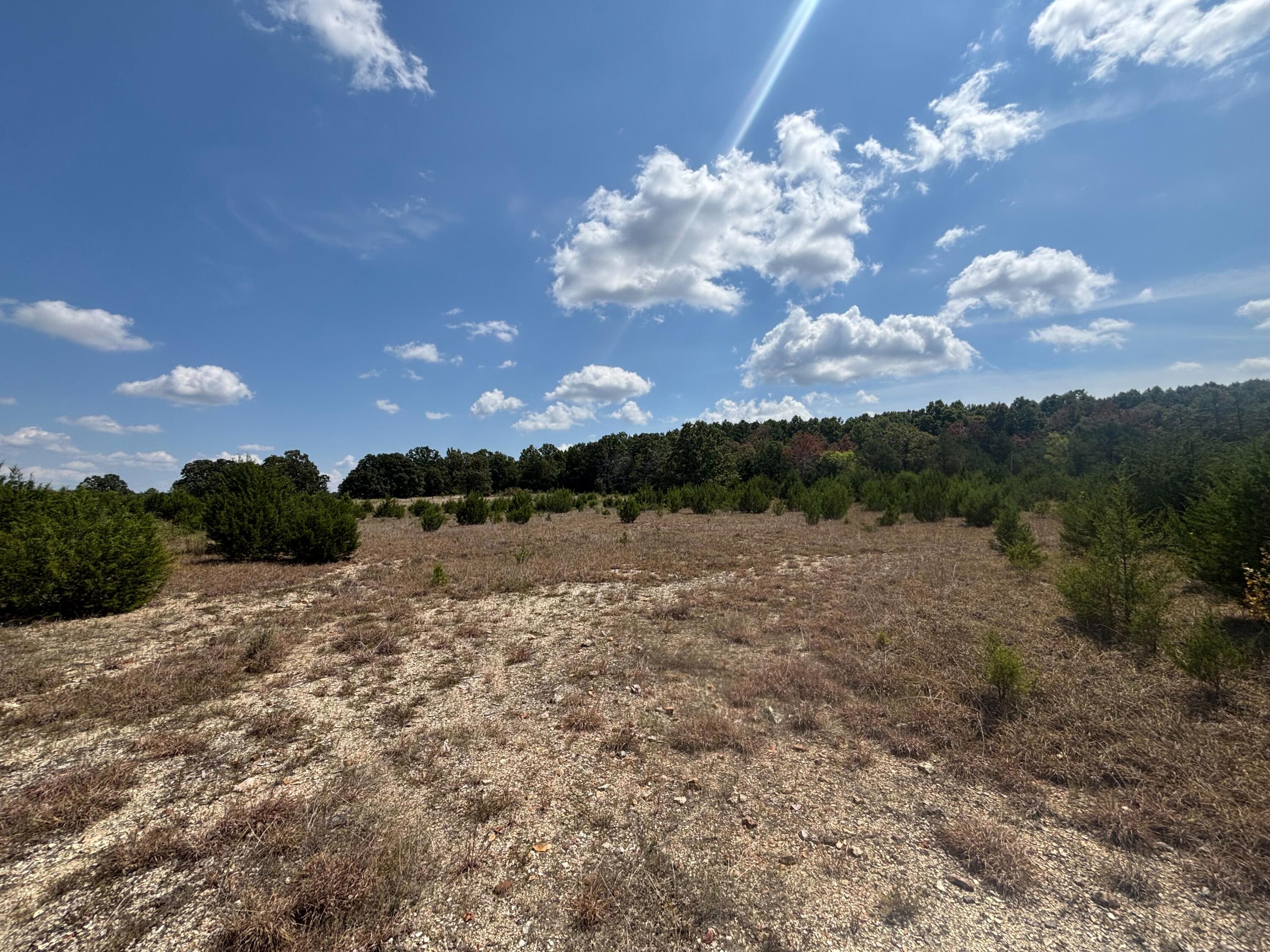 Photo 19 - Land for sale – Tract 6  Little Woods Road  Elizabeth, AR