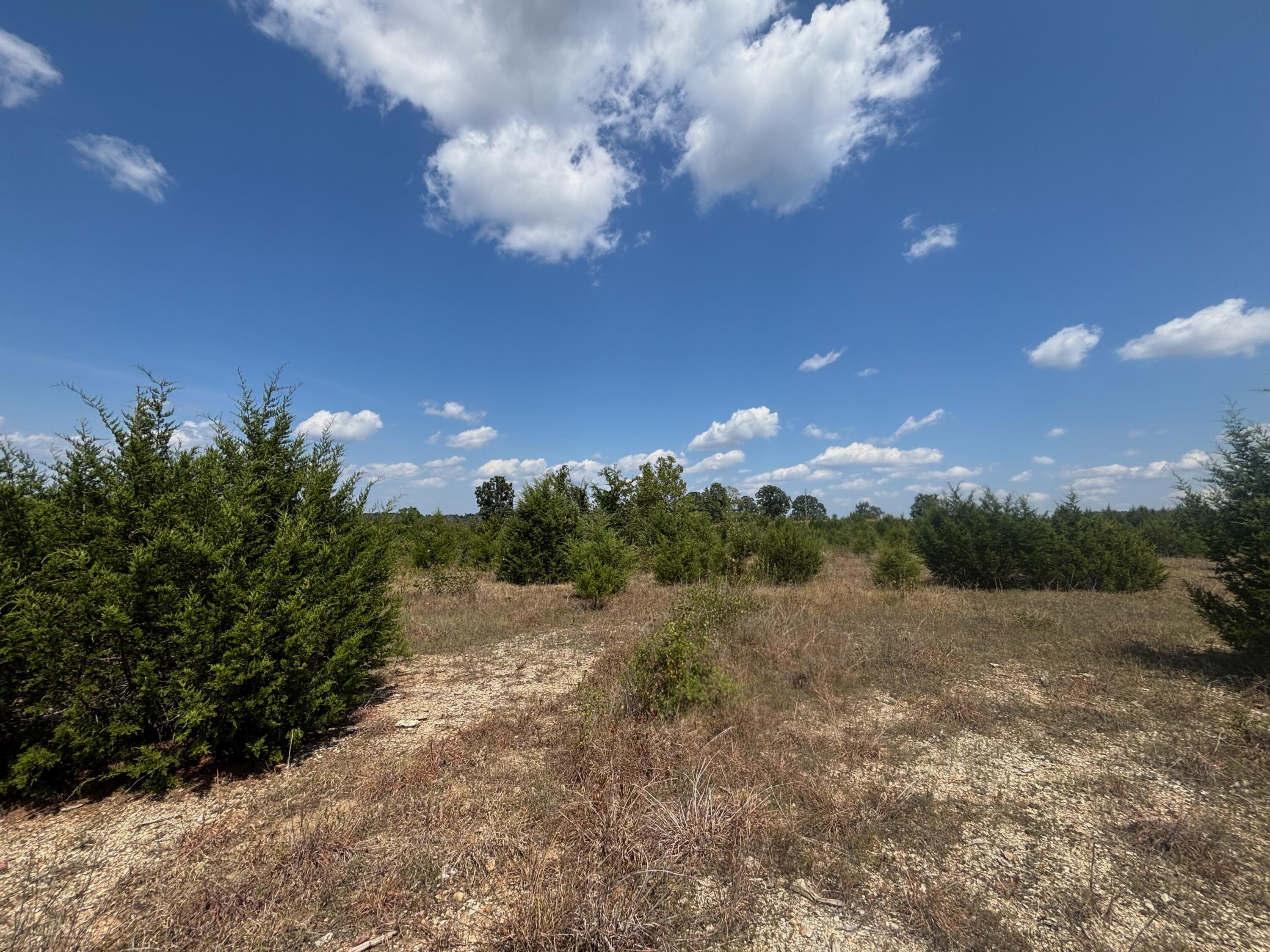 Photo 18 - Land for sale – Tract 6  Little Woods Road  Elizabeth, AR