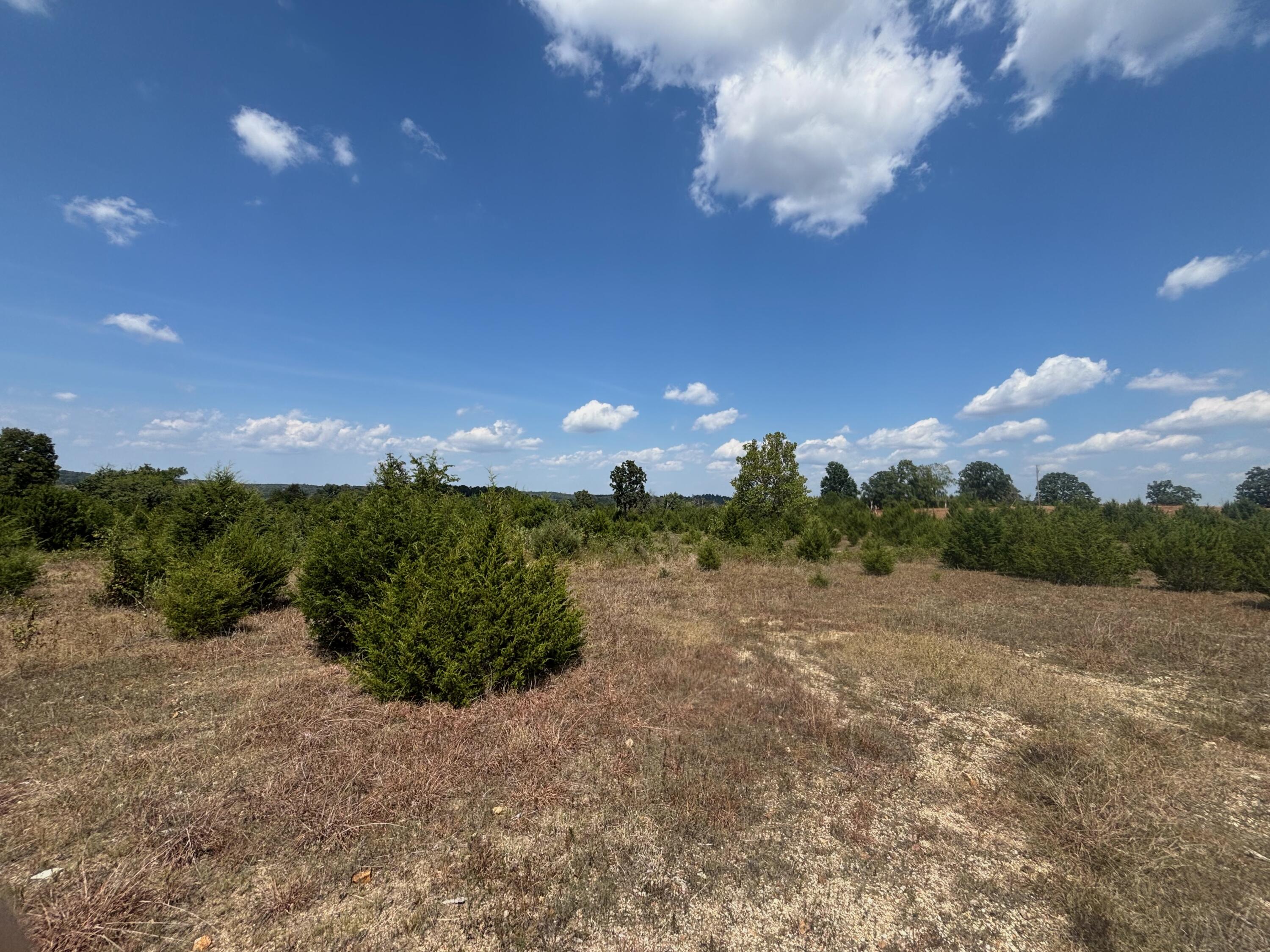 Photo 20 - Land for sale – Tract 6  Little Woods Road  Elizabeth, AR