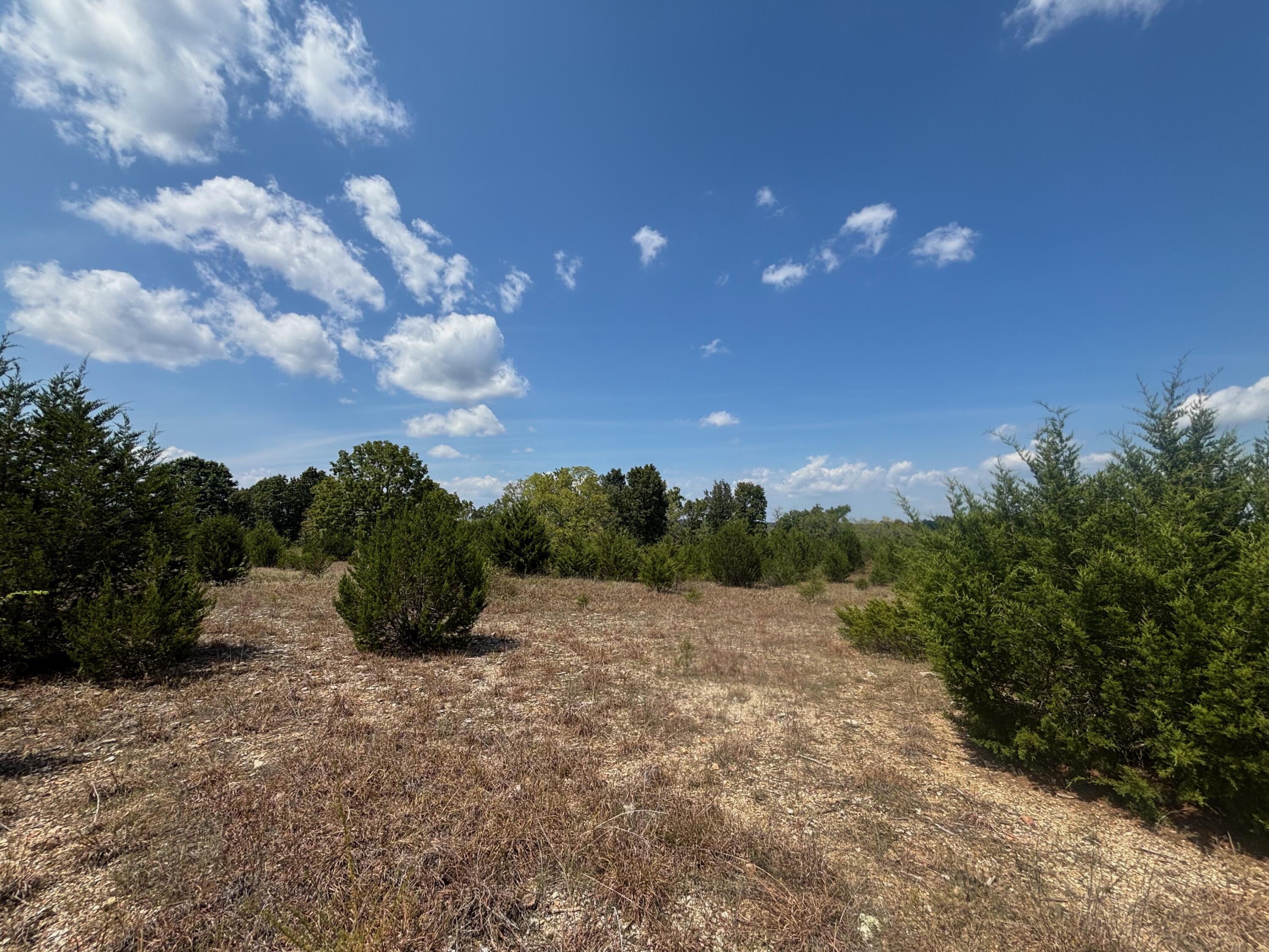 Photo 17 - Land for sale – Tract 6  Little Woods Road  Elizabeth, AR