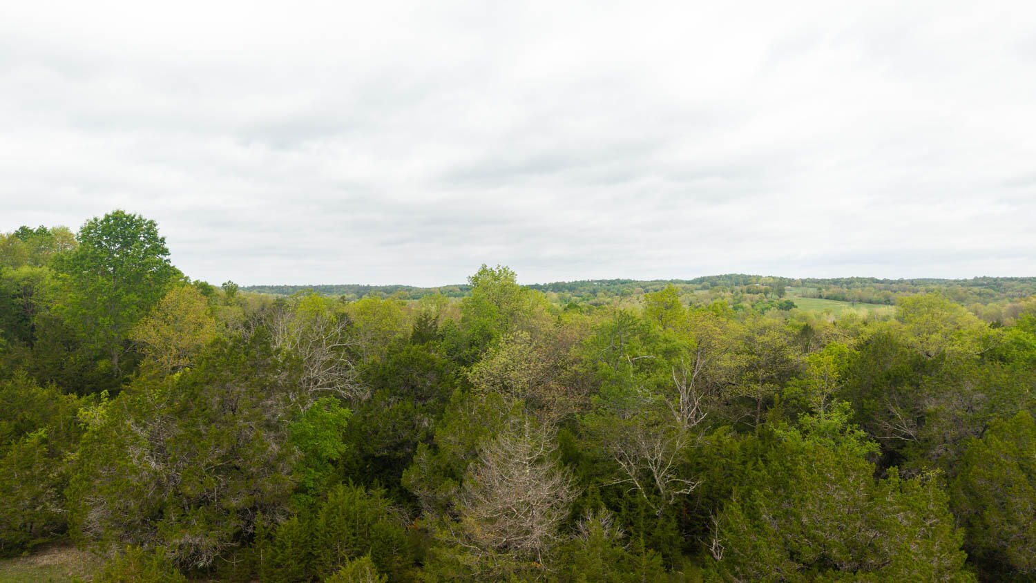 Photo 9 - Land for sale – Tract 6  Little Woods Road  Elizabeth, AR