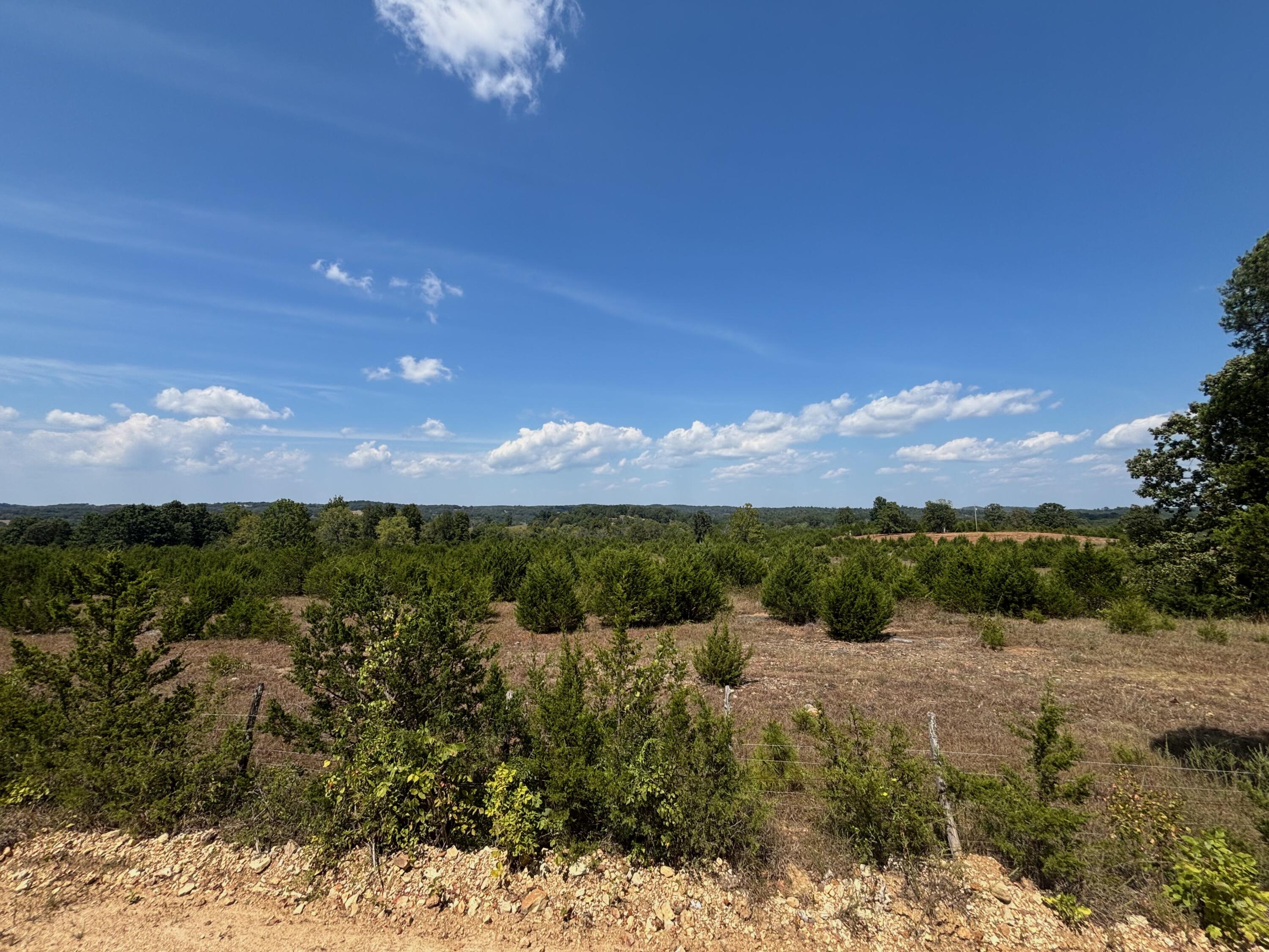 Photo 22 - Land for sale – Tract 6  Little Woods Road  Elizabeth, AR
