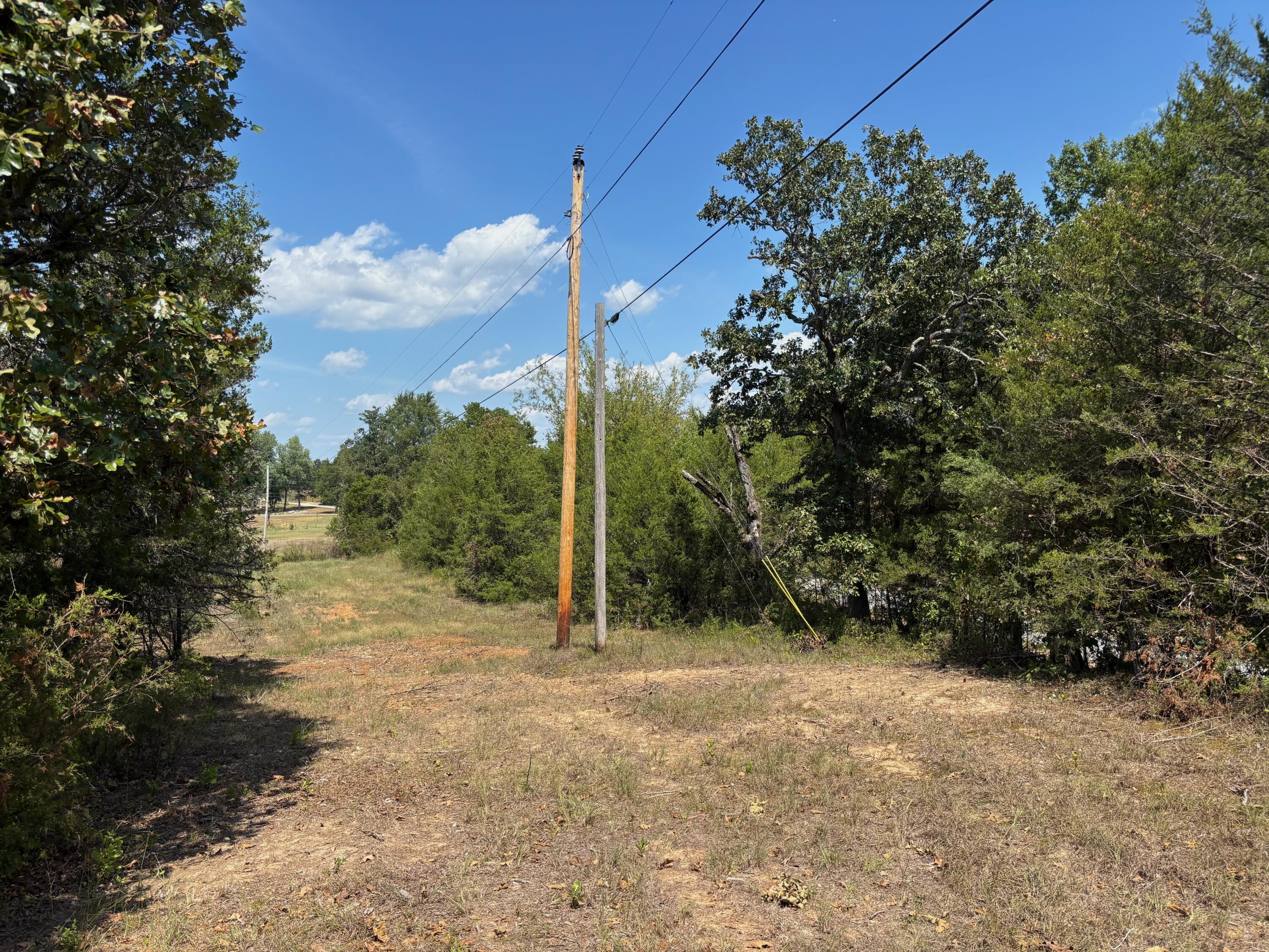 Photo 17 - Land for sale – Tract 8  Little Woods Road  Elizabeth, AR