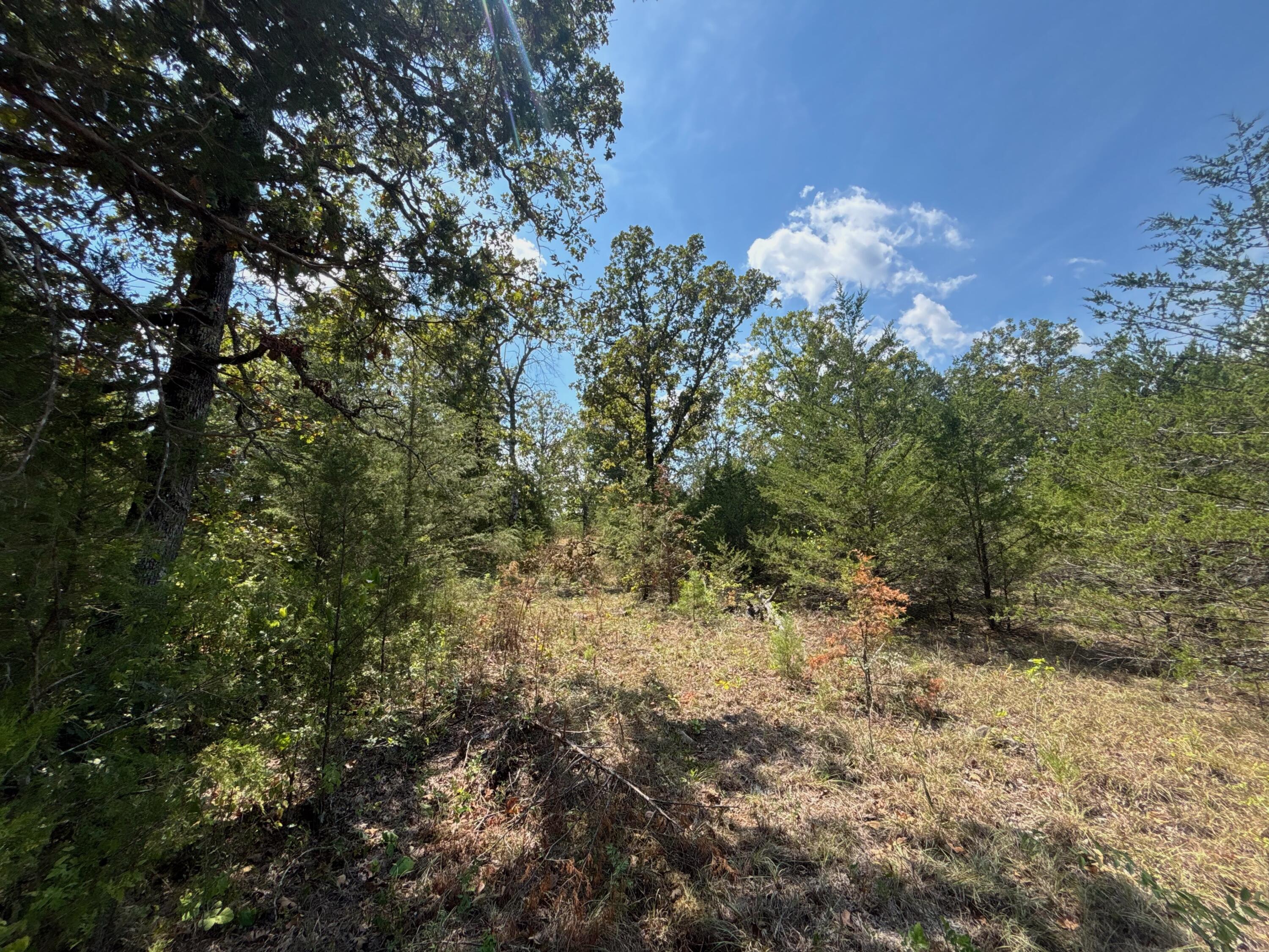 Photo 18 - Land for sale – Tract 8  Little Woods Road  Elizabeth, AR