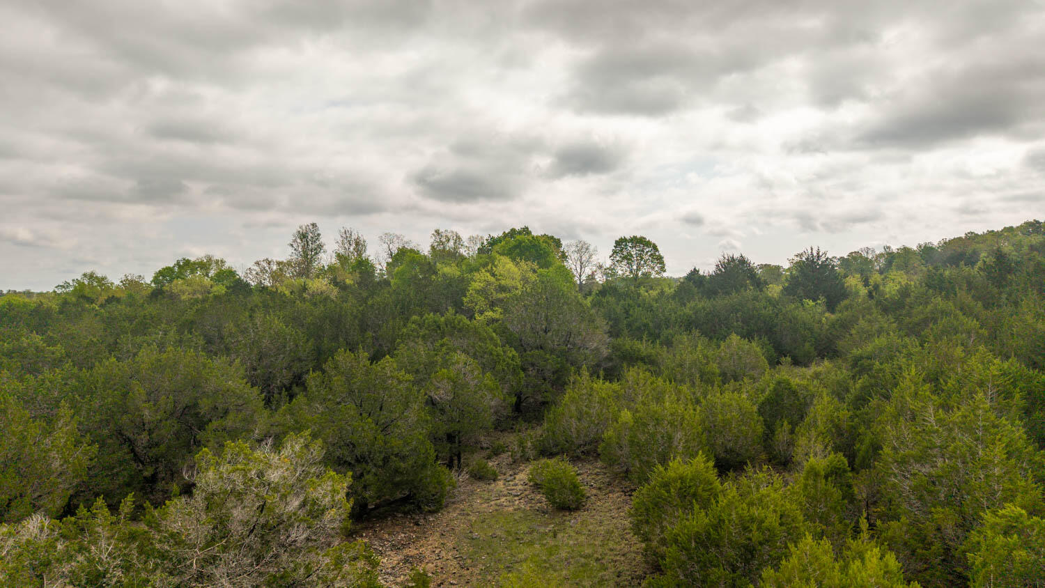 Photo 8 - Land for sale – Tract 8  Little Woods Road  Elizabeth, AR