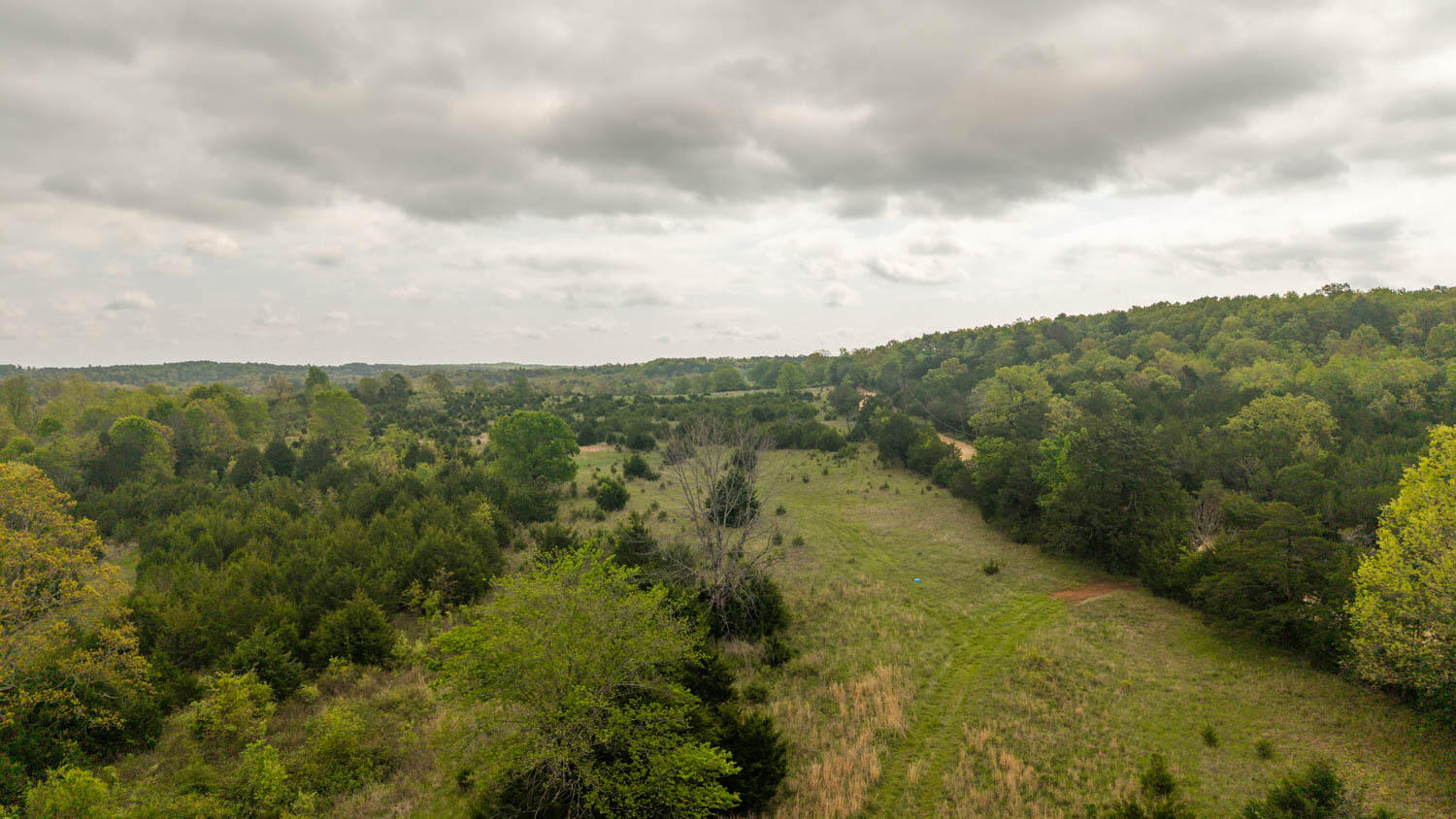 Photo 5 - Land for sale – Tract 8  Little Woods Road  Elizabeth, AR