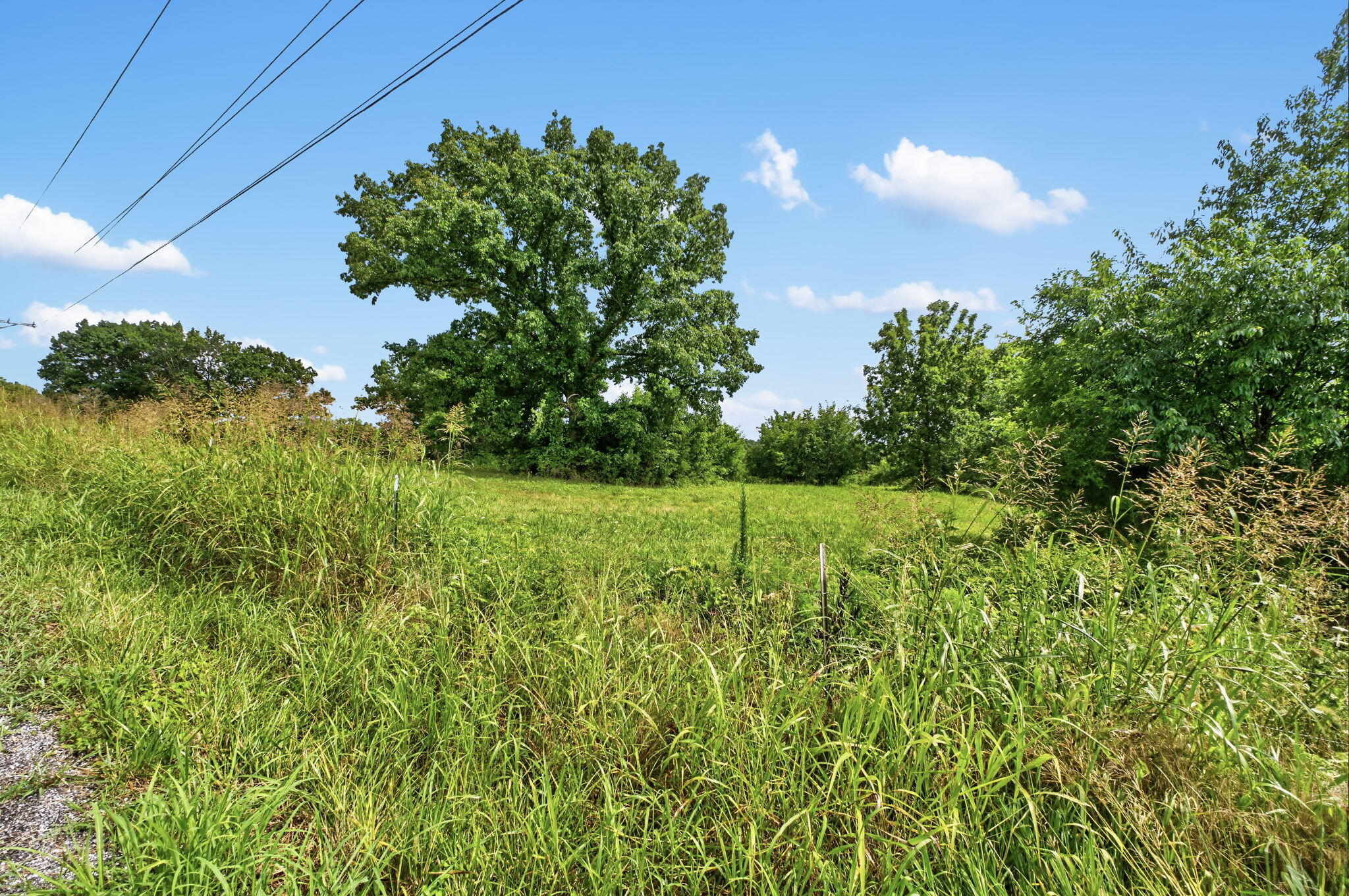 Photo 9 - Land for sale – 000 N Farm Road 53   Walnut Grove, MO