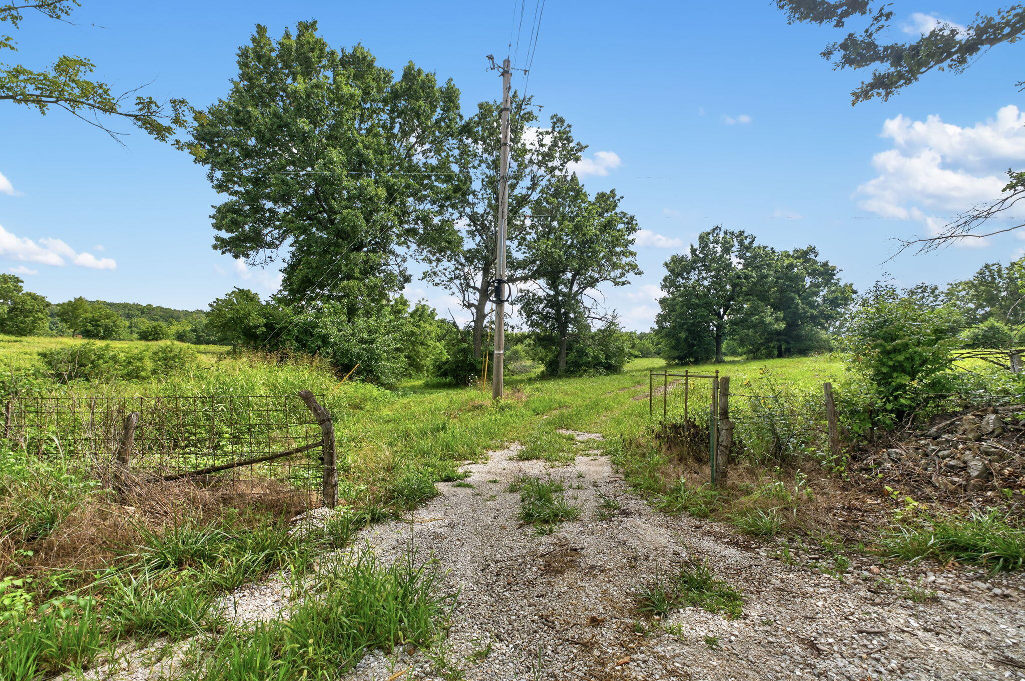 Photo 2 - Land for sale – 000 N Farm Road 53   Walnut Grove, MO
