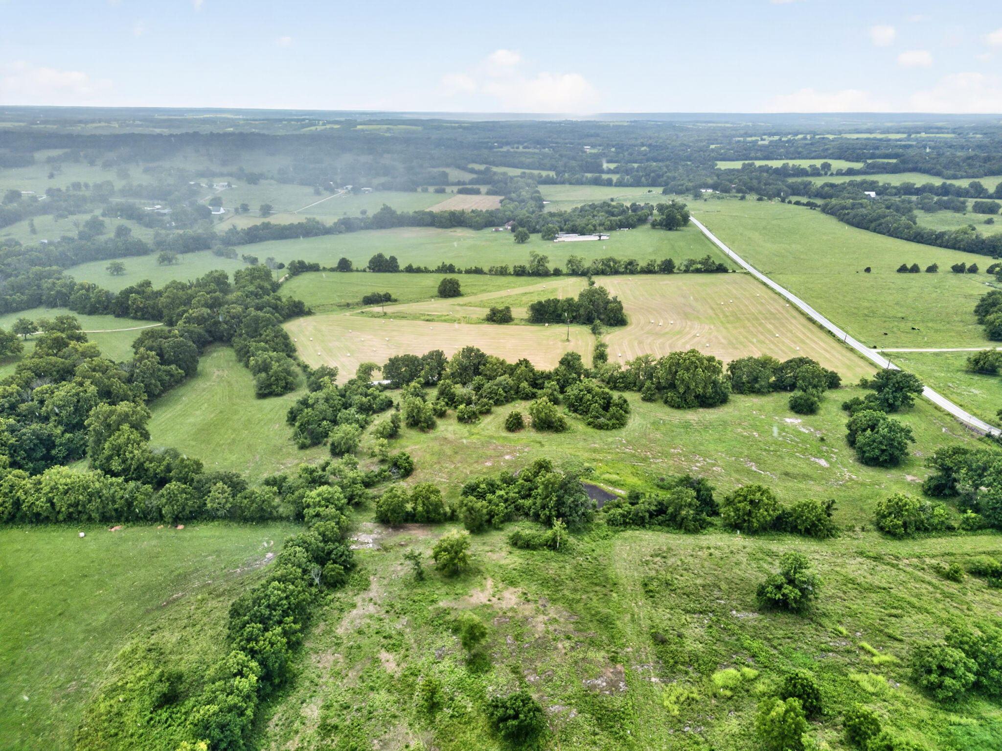 Photo 13 - Land for sale – 000 N Farm Road 53   Walnut Grove, MO
