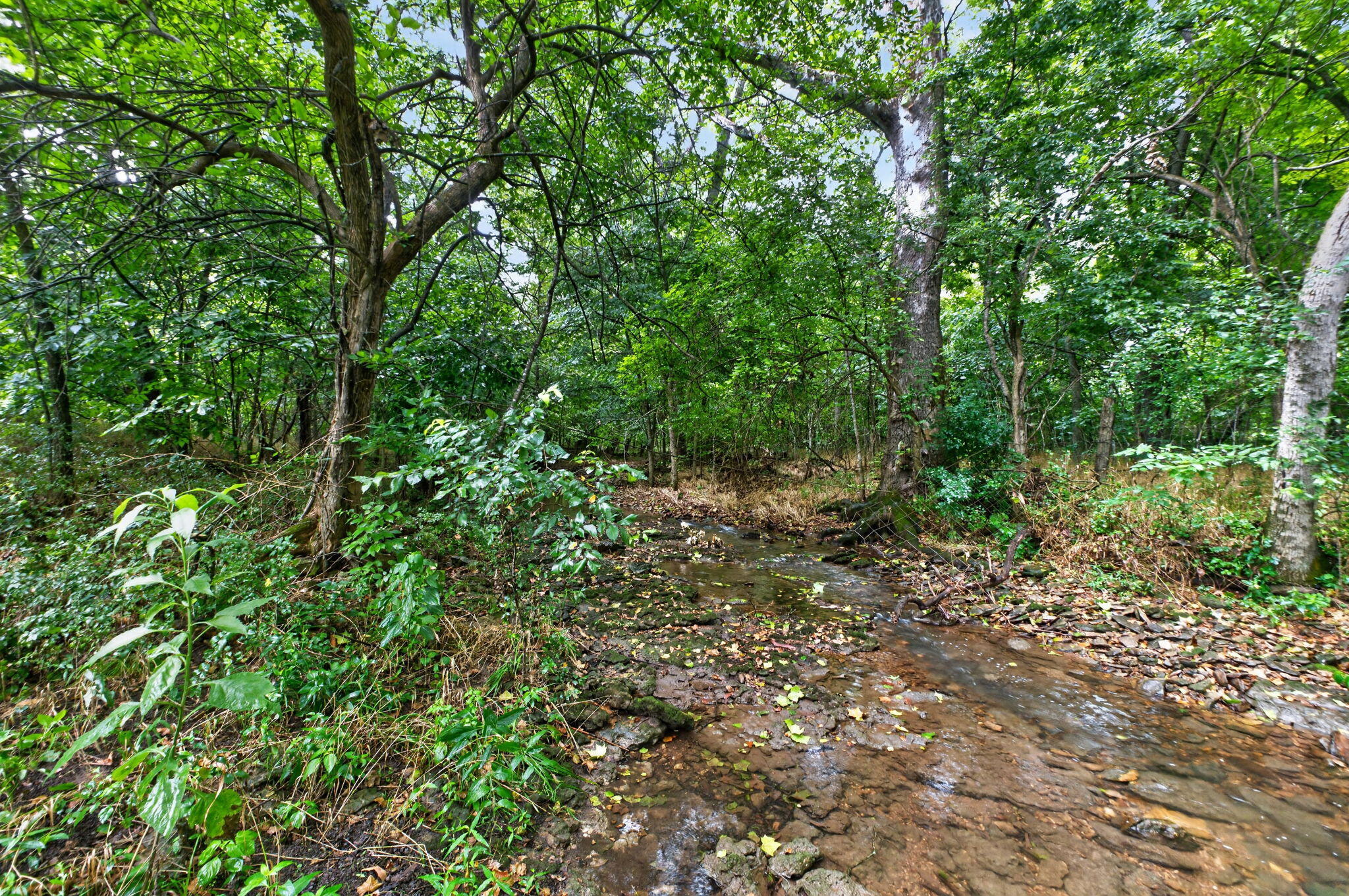 Photo 5 - Land for sale – 000 N Farm Road 53   Walnut Grove, MO