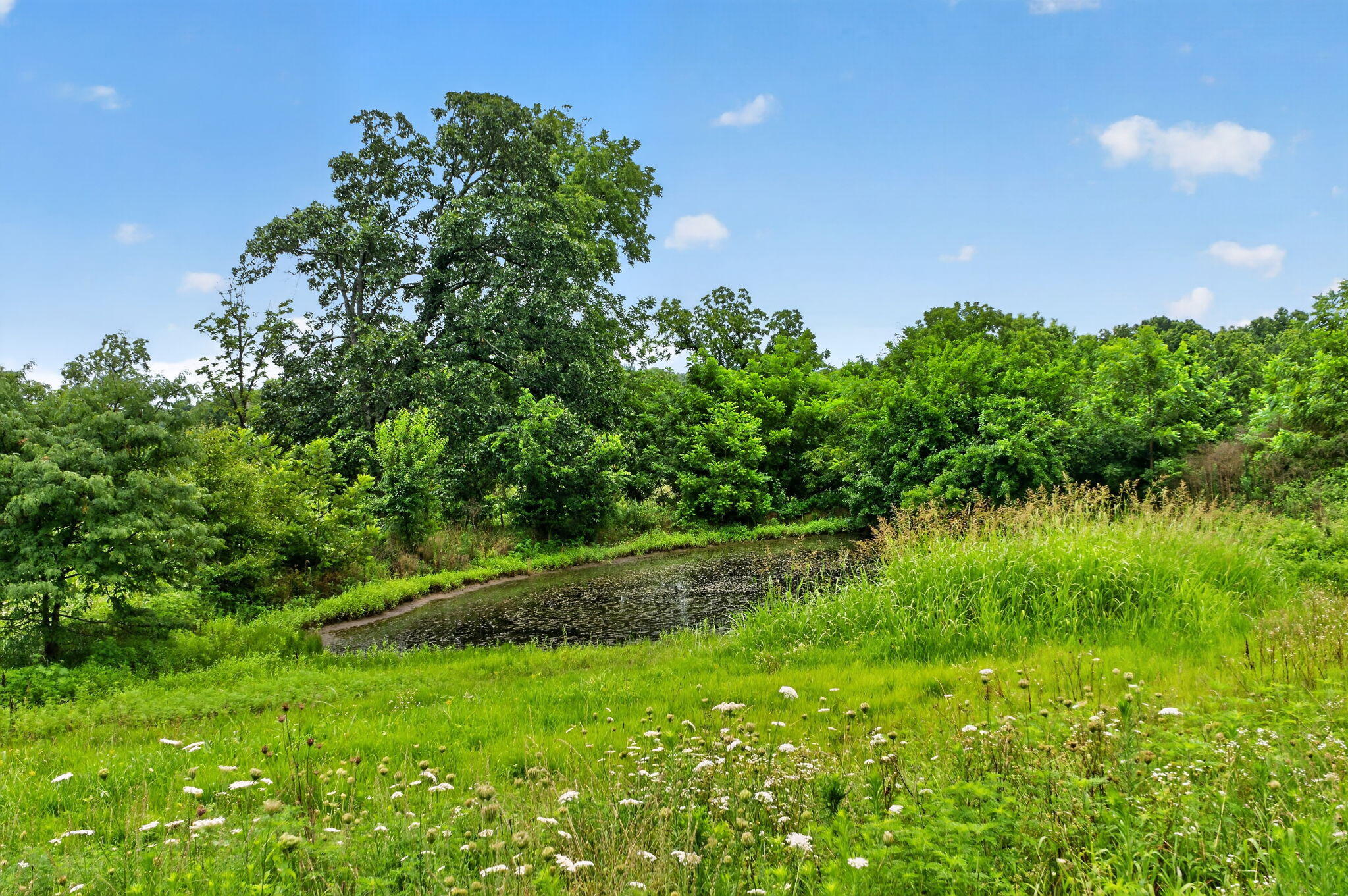 Photo 6 - Land for sale – 000 N Farm Road 53   Walnut Grove, MO