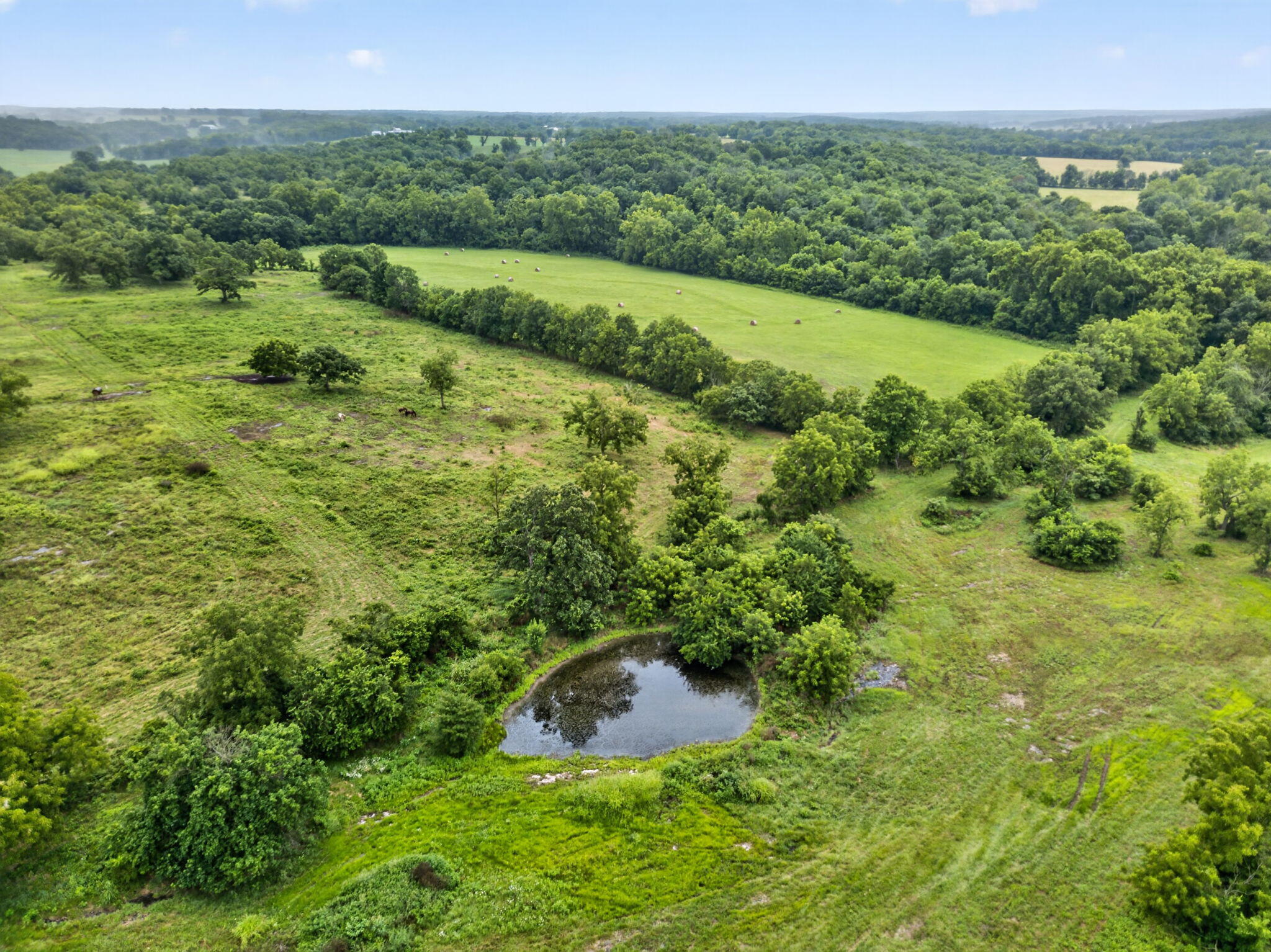 Photo 17 - Land for sale – 000 N Farm Road 53   Walnut Grove, MO