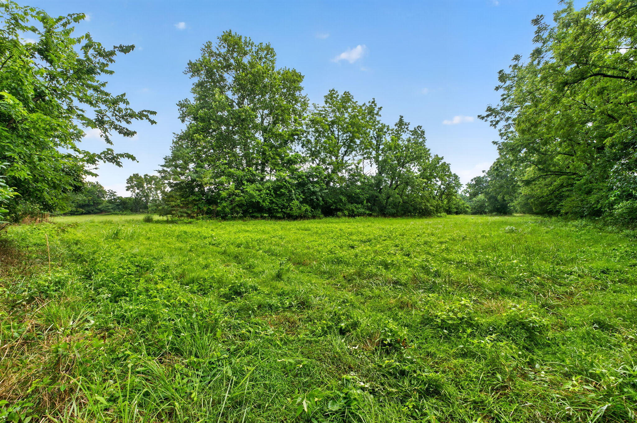 Land for sale – 000 N Farm Road 53   Walnut Grove, MO