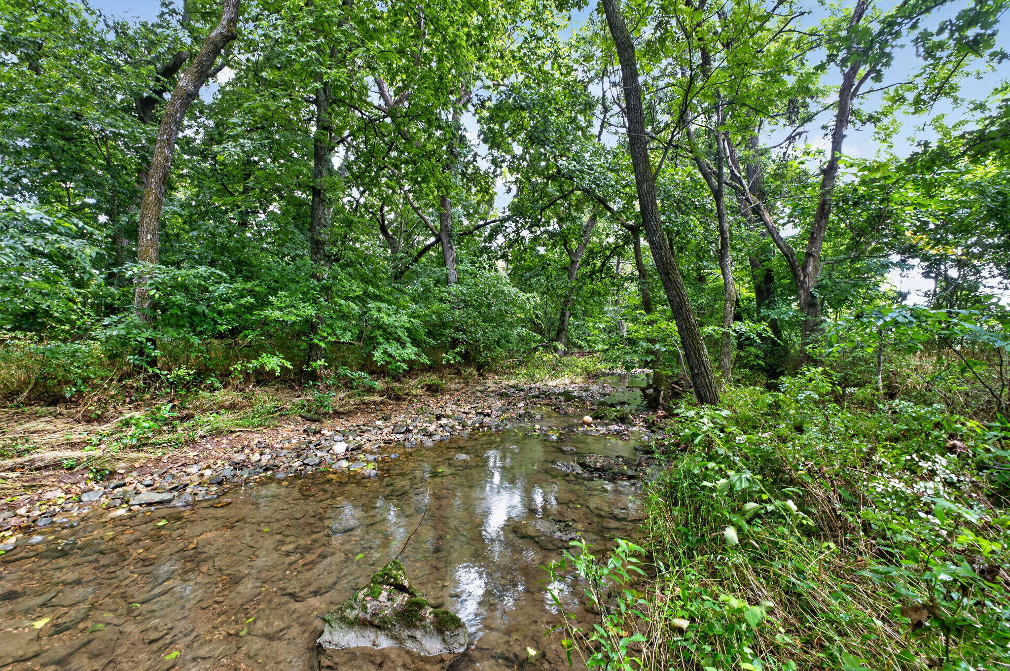 Photo 4 - Land for sale – 000 N Farm Road 53   Walnut Grove, MO