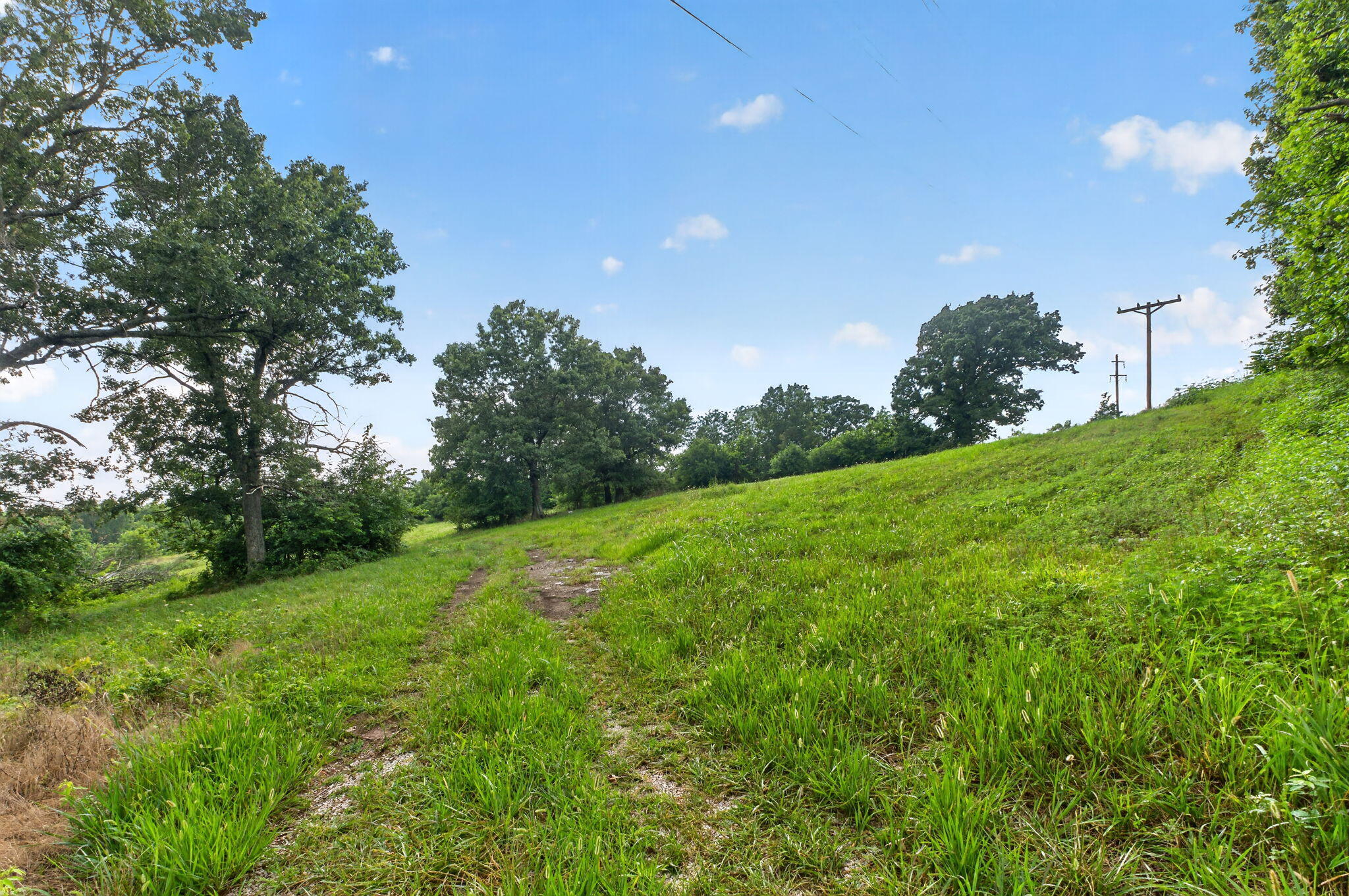Photo 8 - Land for sale – 000 N Farm Road 53   Walnut Grove, MO