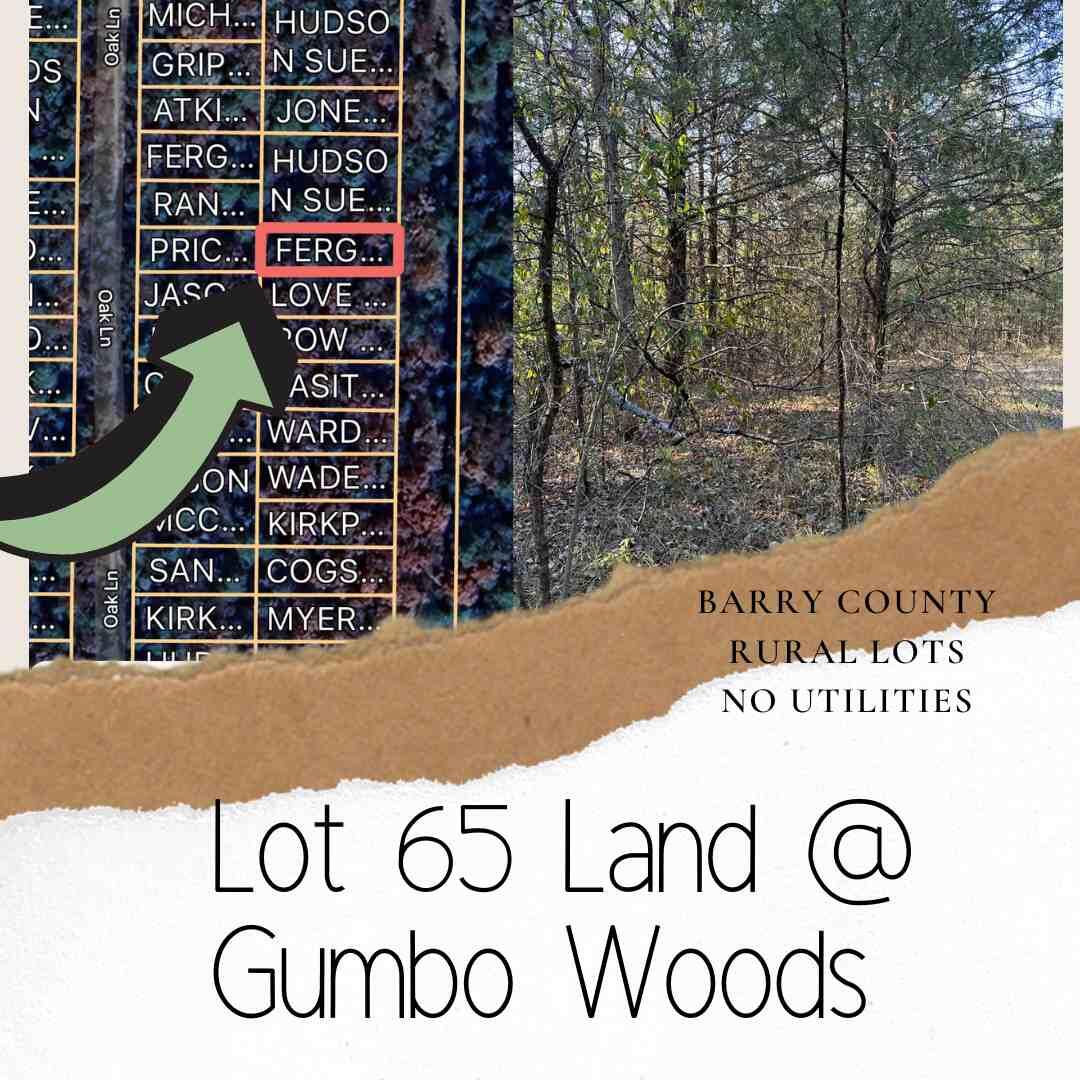 Land for sale – Lot 65 Gumbo Woods Shell Knob, MO