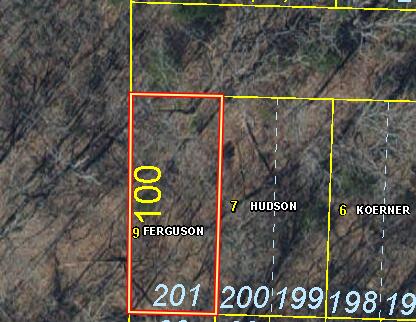 Photo 2 - Land for sale – Lot 201-  Big Creek   Shell Knob, MO