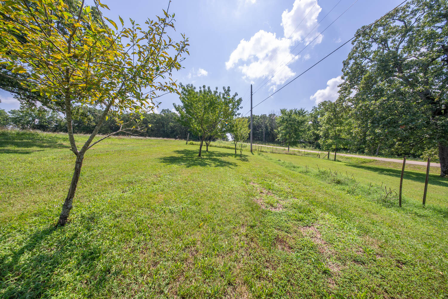 Photo 72 - Residential for sale – 1351  State Highway W   Ava, MO