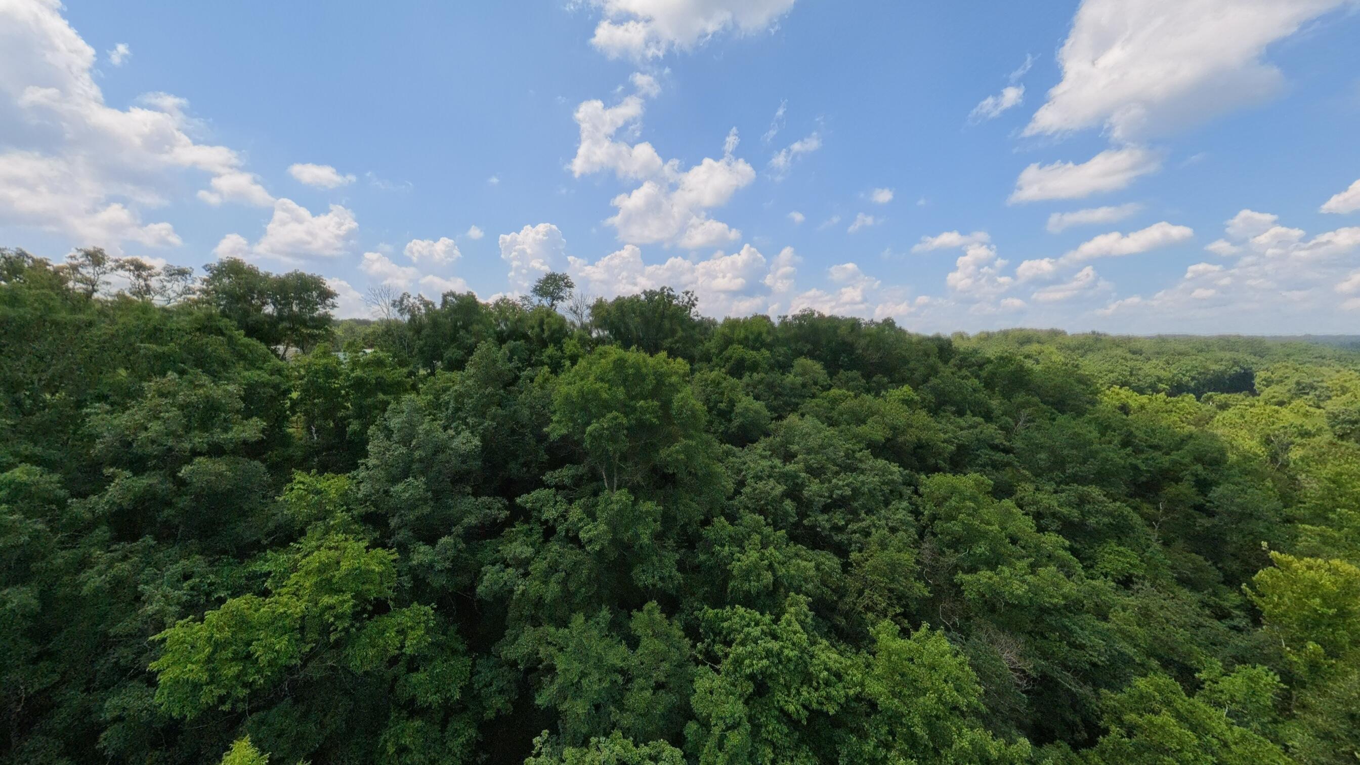 Photo 103 - Residential for sale – 1351  State Highway W   Ava, MO