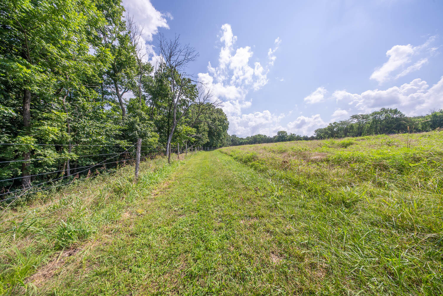 Photo 67 - Residential for sale – 1351  State Highway W   Ava, MO