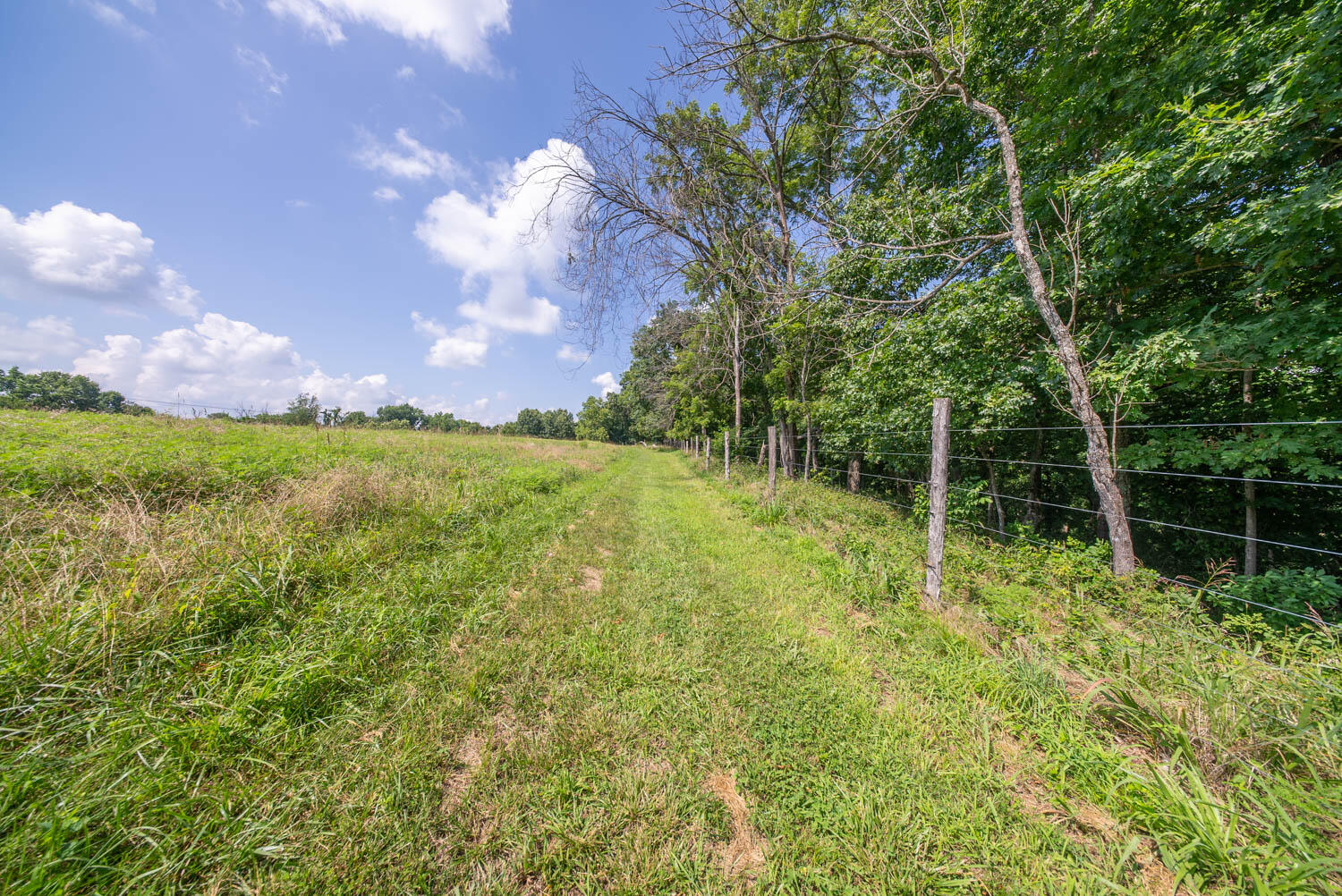 Photo 69 - Residential for sale – 1351  State Highway W   Ava, MO
