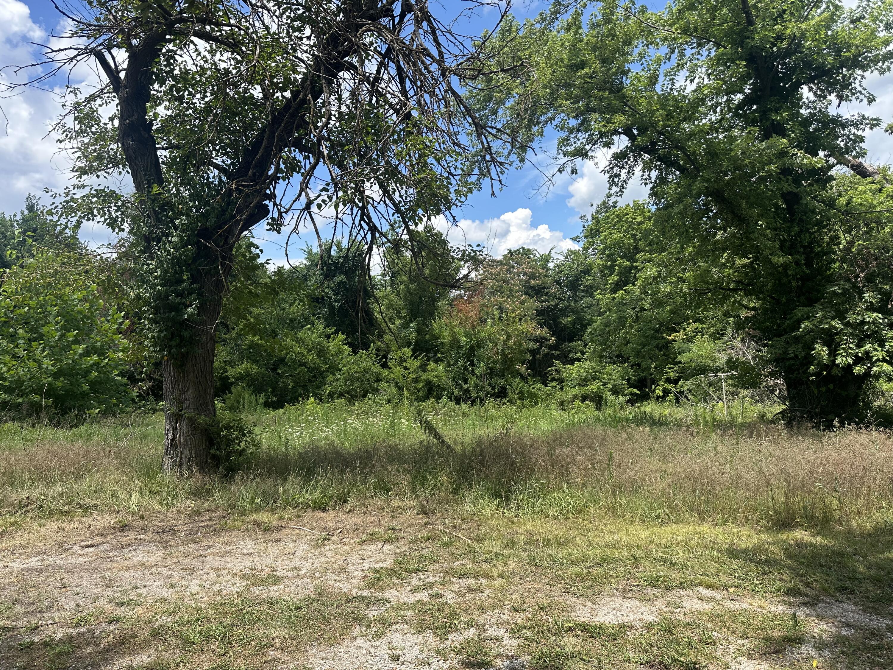Photo 2 - Land for sale – 2415 W 1st Street  Joplin, MO