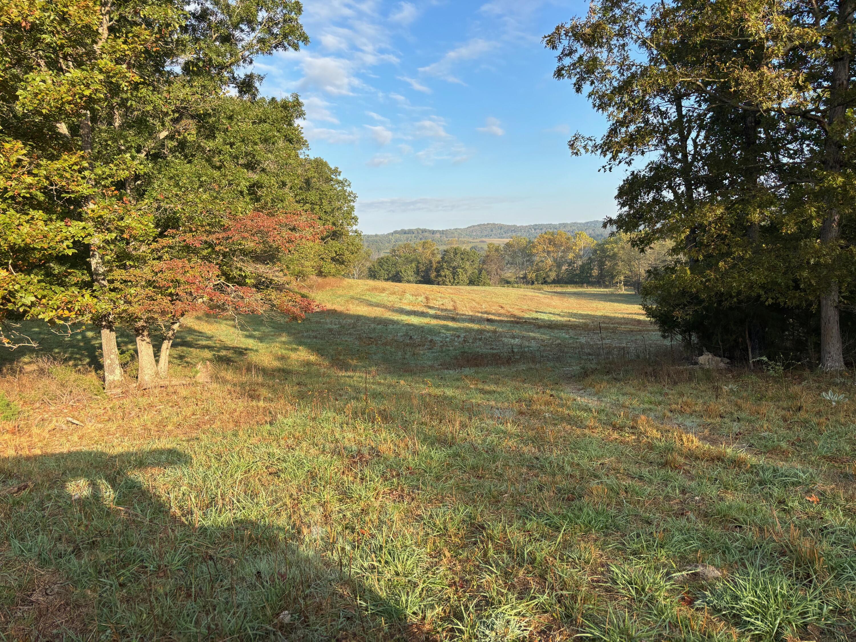 Photo 2 - Land for sale – Tbd  County Road 14-252   Drury, MO